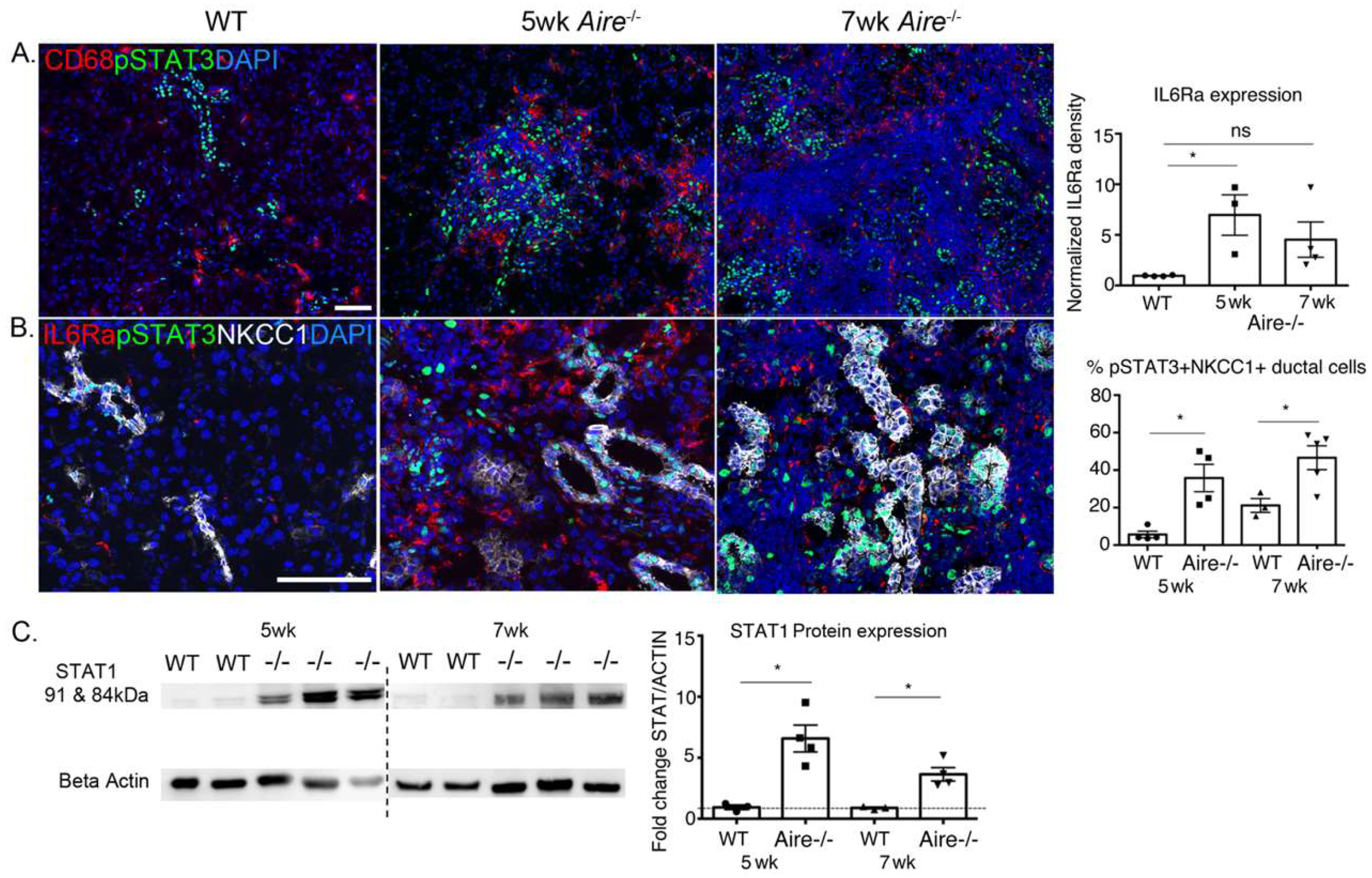 Ijms 19 03628 g004 Ijms 19 03628 g004