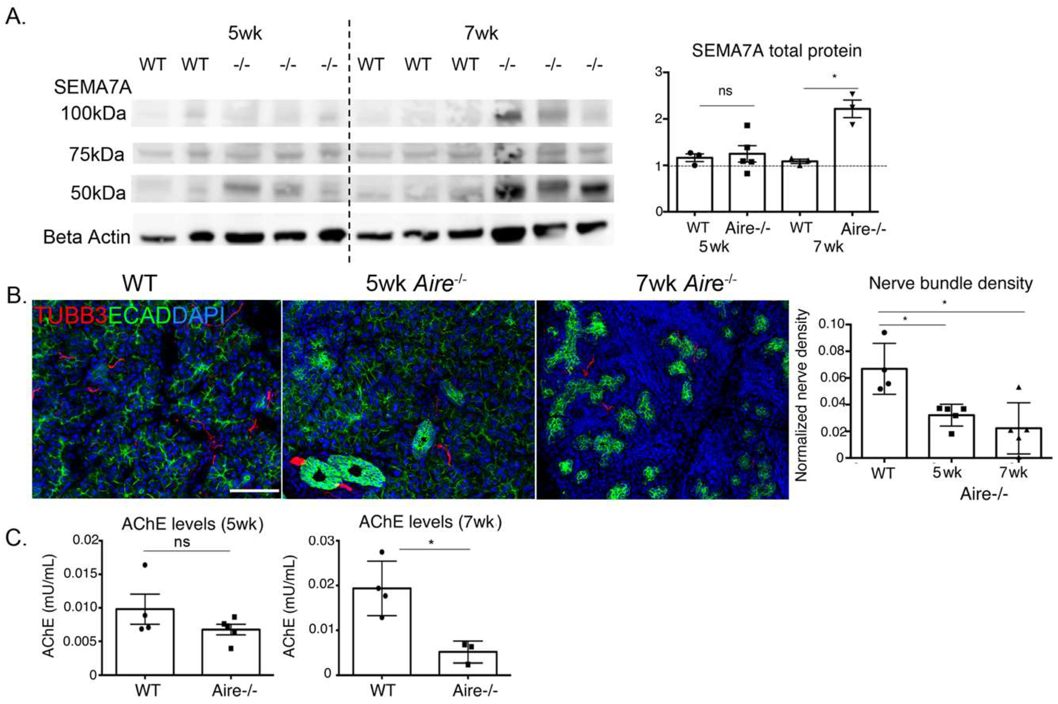 Ijms 19 03628 g005 Ijms 19 03628 g005