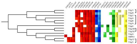 Dissemination of Genetic Acquisition/Loss Provides a Variety