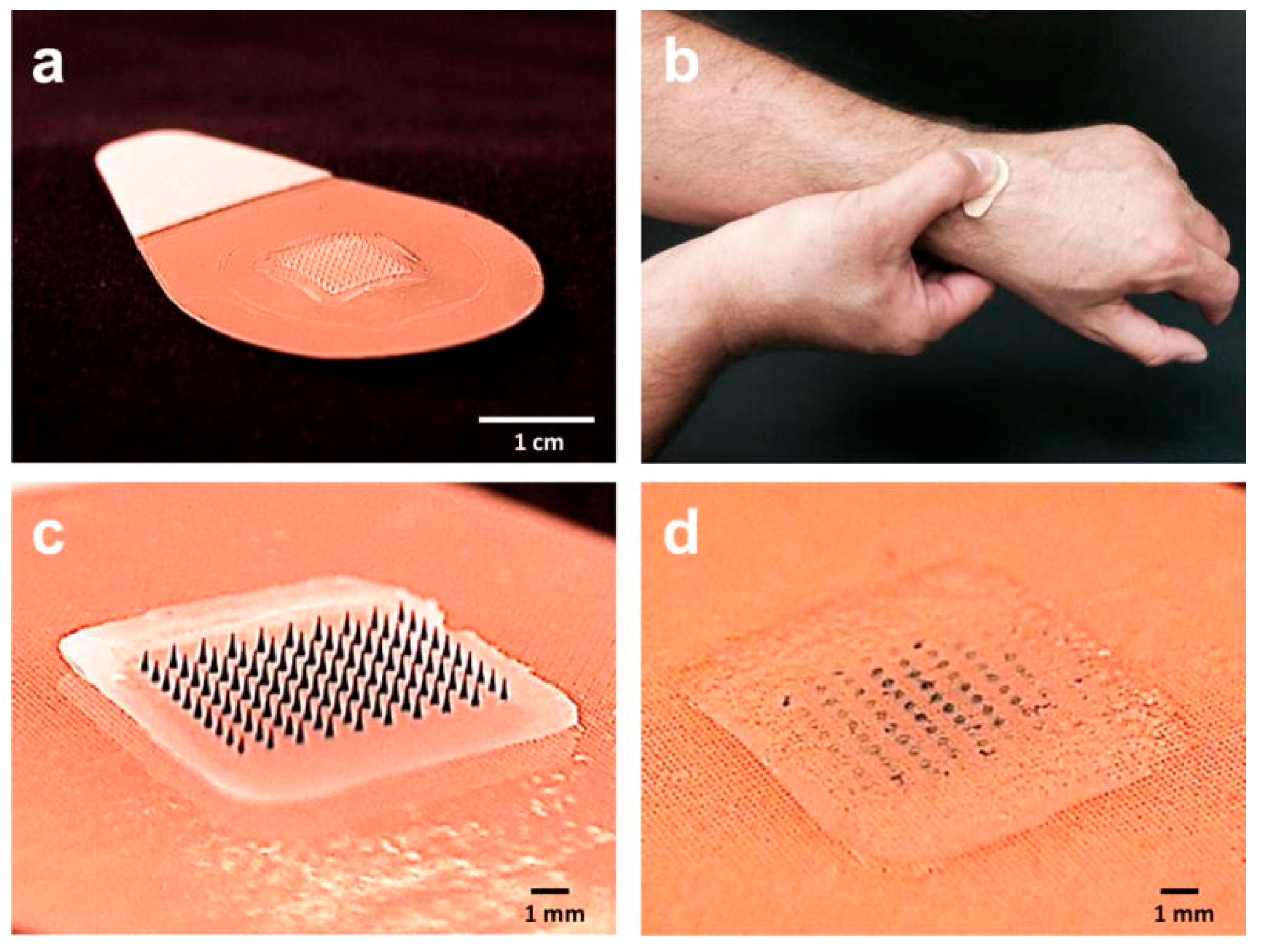 Ijms 19 03639 g004 Ijms 19 03639 g004