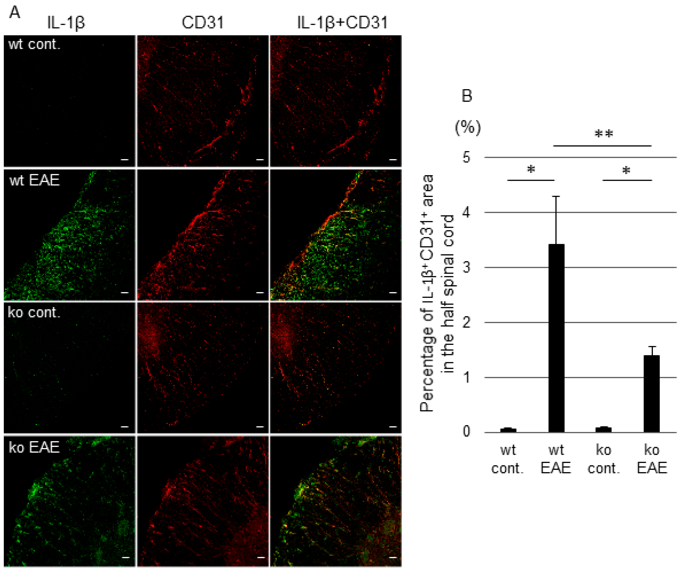 Ijms 19 03647 g004 Ijms 19 03647 g004