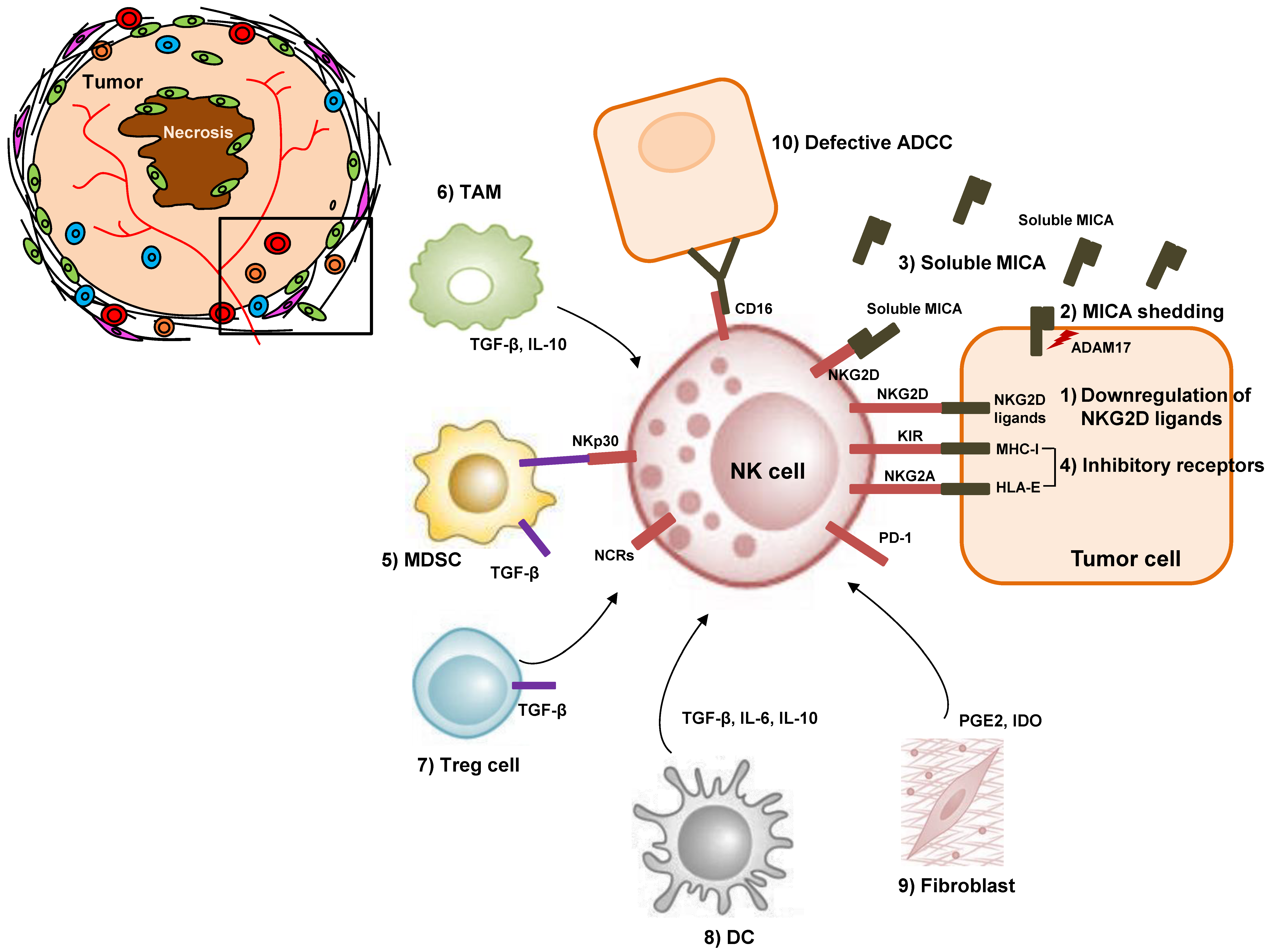 Flanking Tactics for Active Killer Response