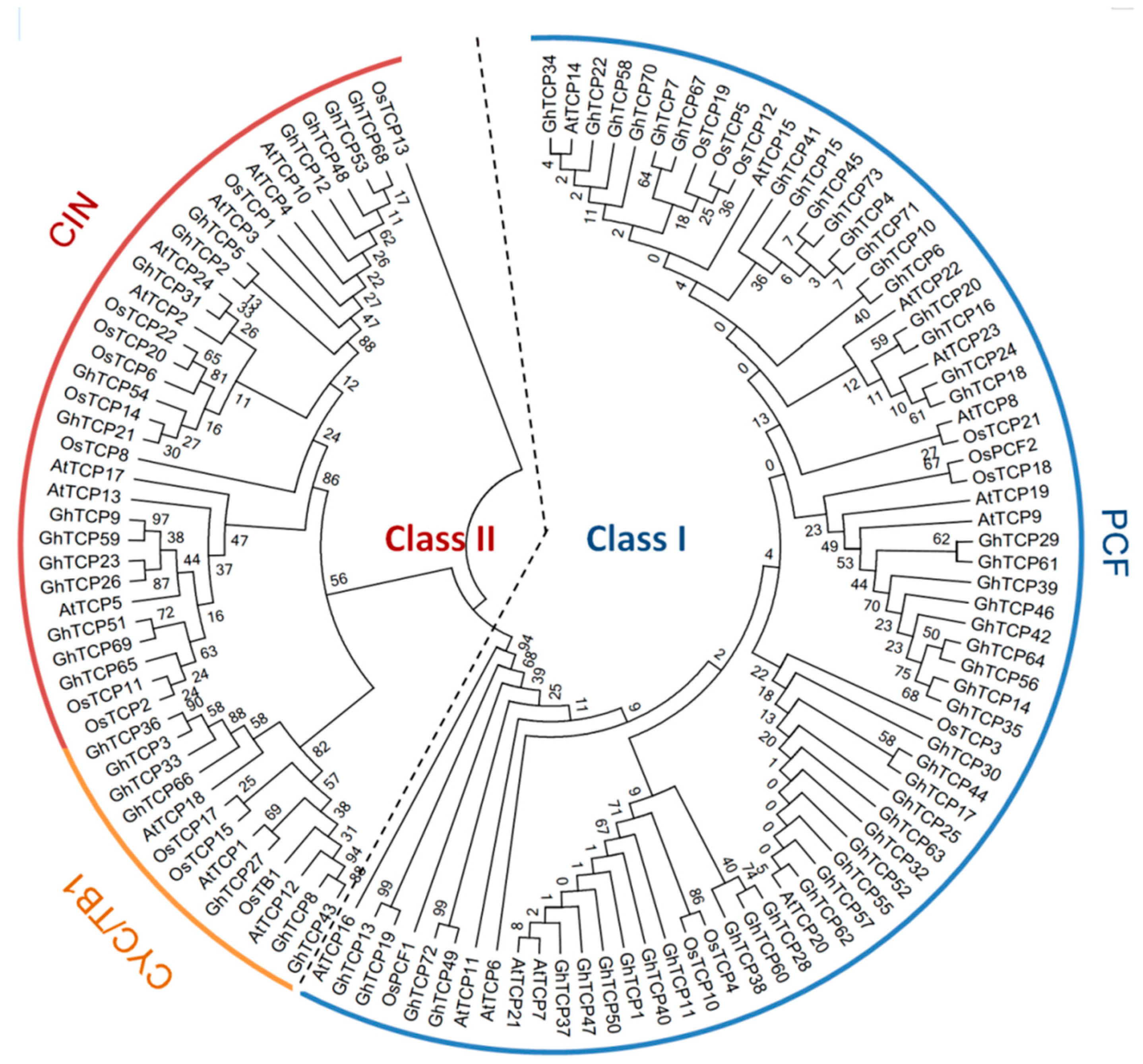 Ijms 19 03655 g001 Ijms 19 03655 g001