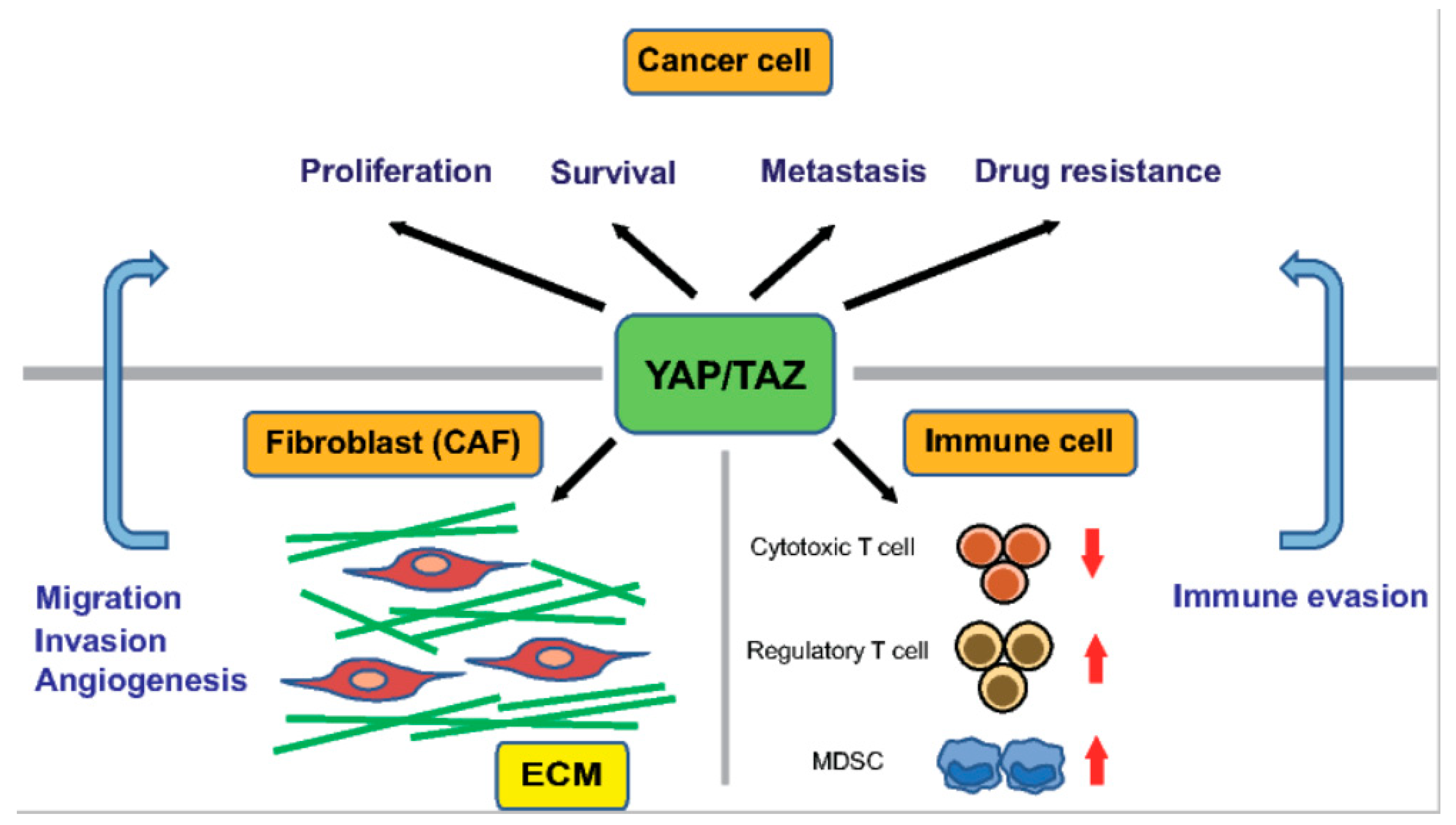 Ijms 19 03674 g002 Ijms 19 03674 g002