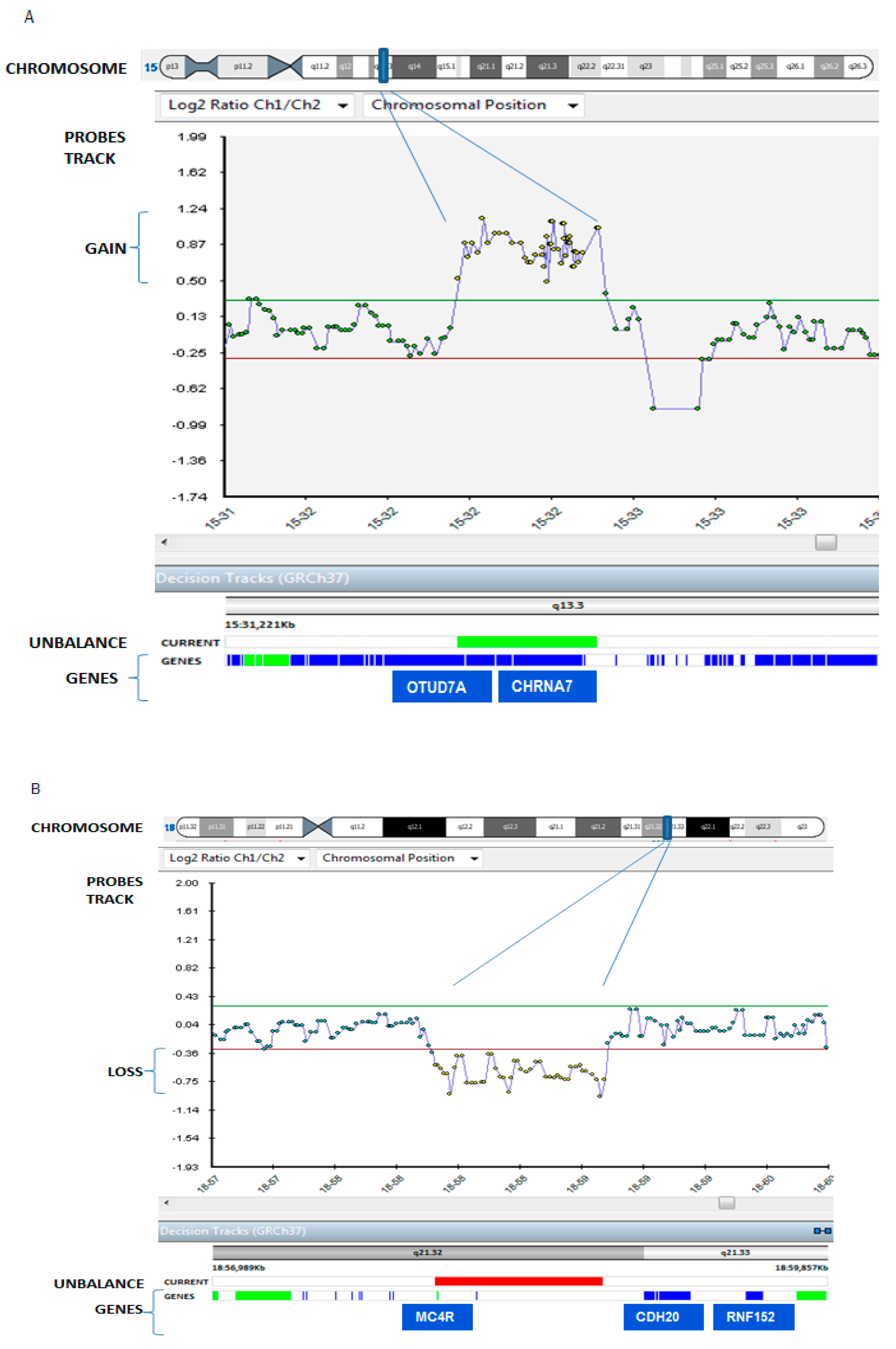 Ijms 19 03675 g002 Ijms 19 03675 g002