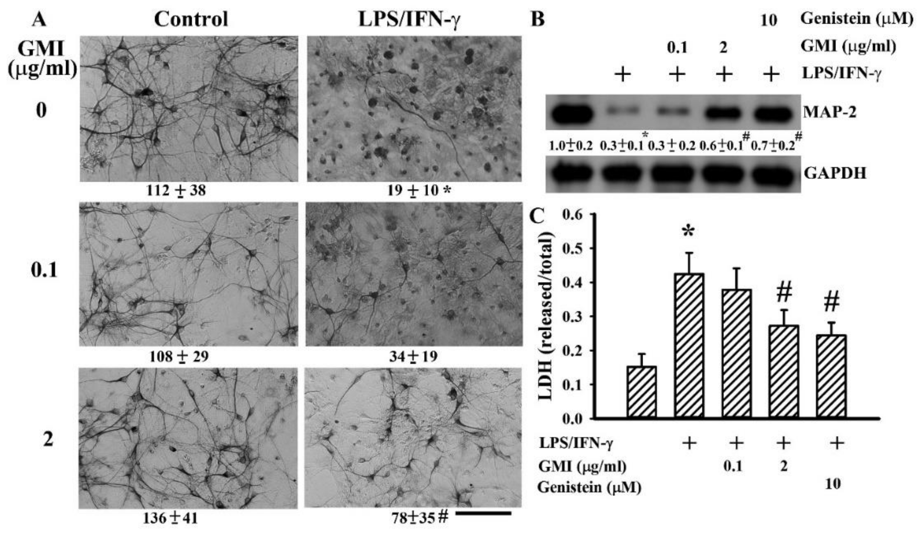 Ijms 19 03678 g001 Ijms 19 03678 g001