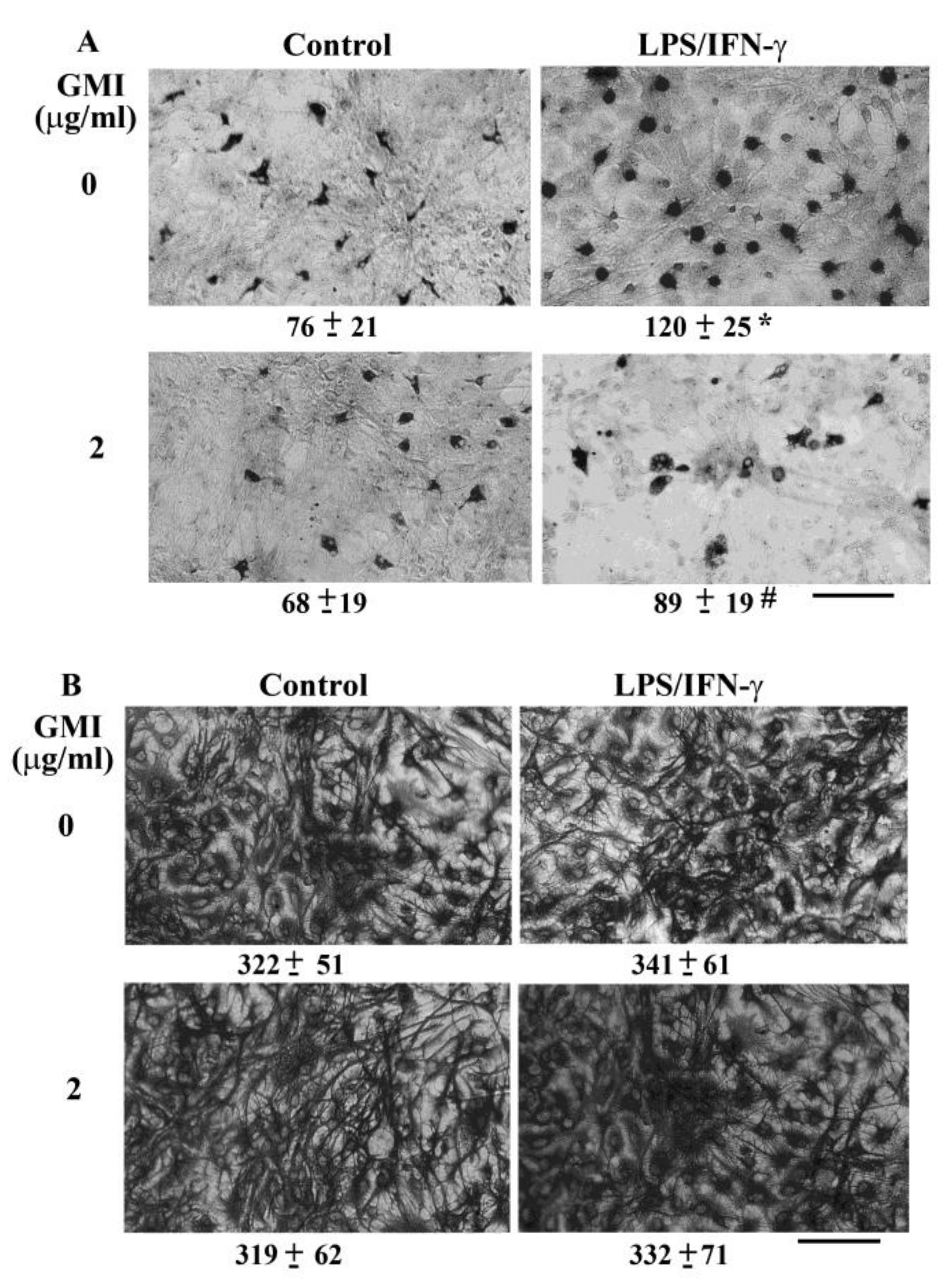 Ijms 19 03678 g002 Ijms 19 03678 g002