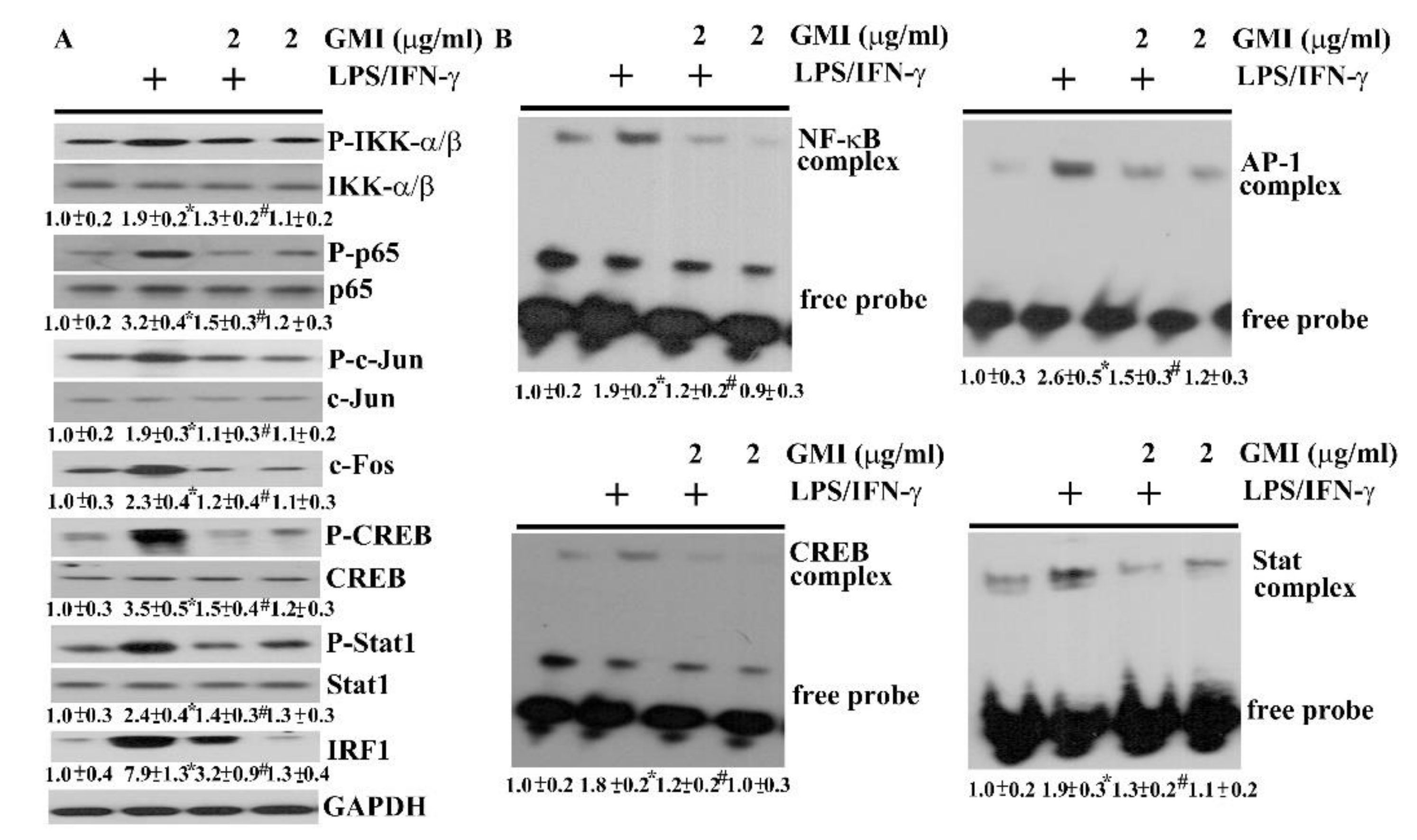 Ijms 19 03678 g008 Ijms 19 03678 g008