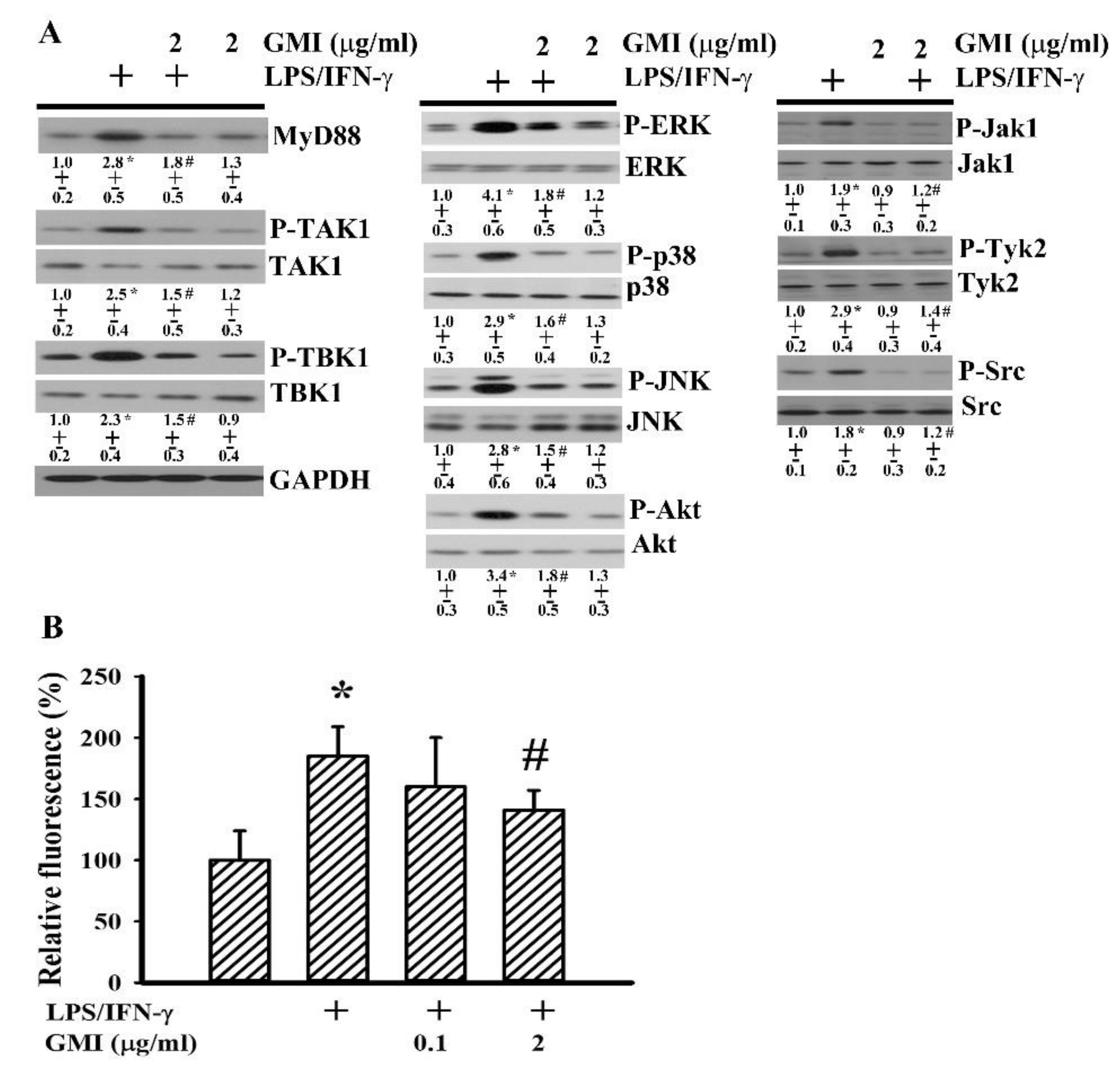 Ijms 19 03678 g009 Ijms 19 03678 g009
