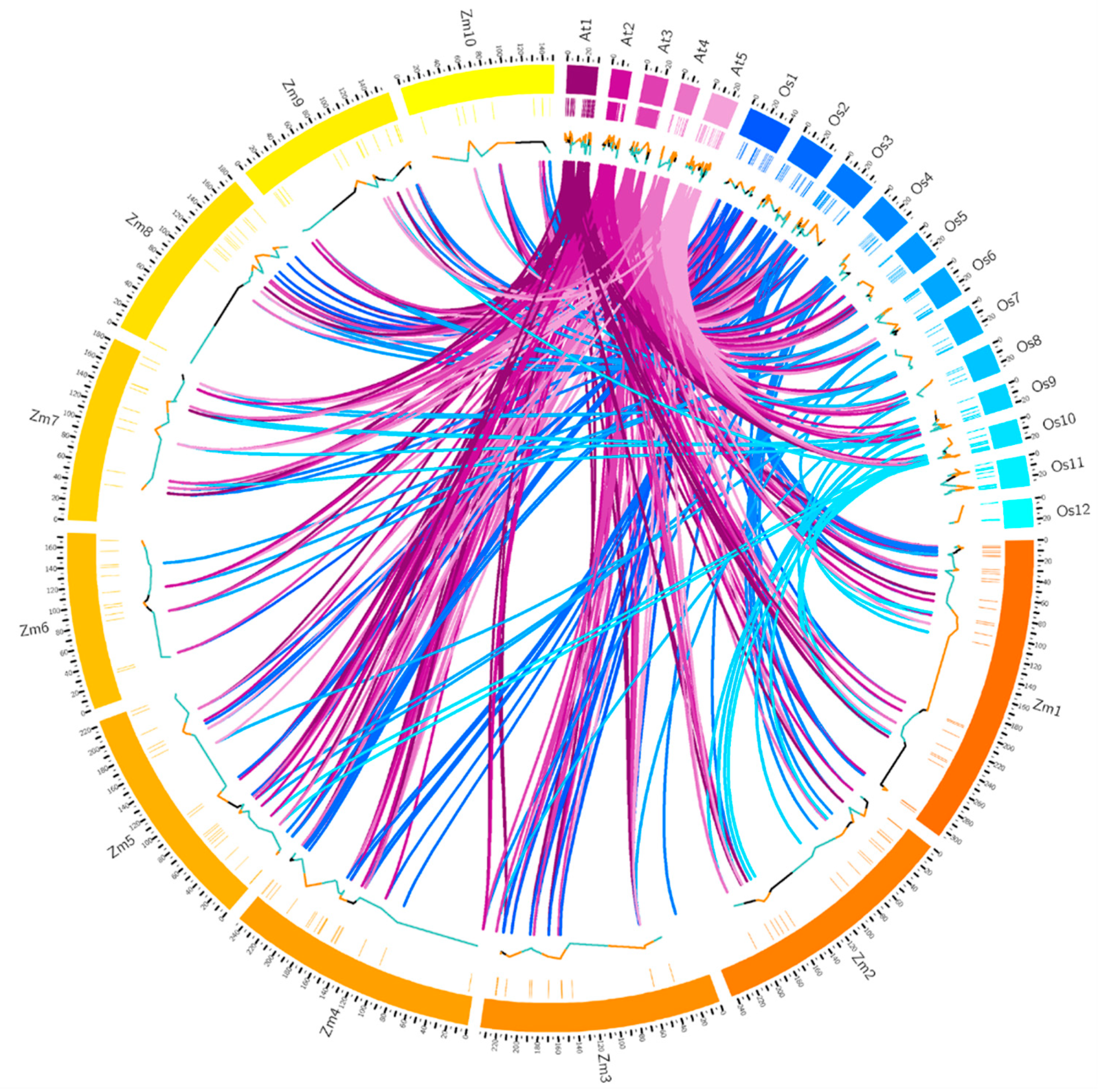 Ijms 19 03680 g002 Ijms 19 03680 g002