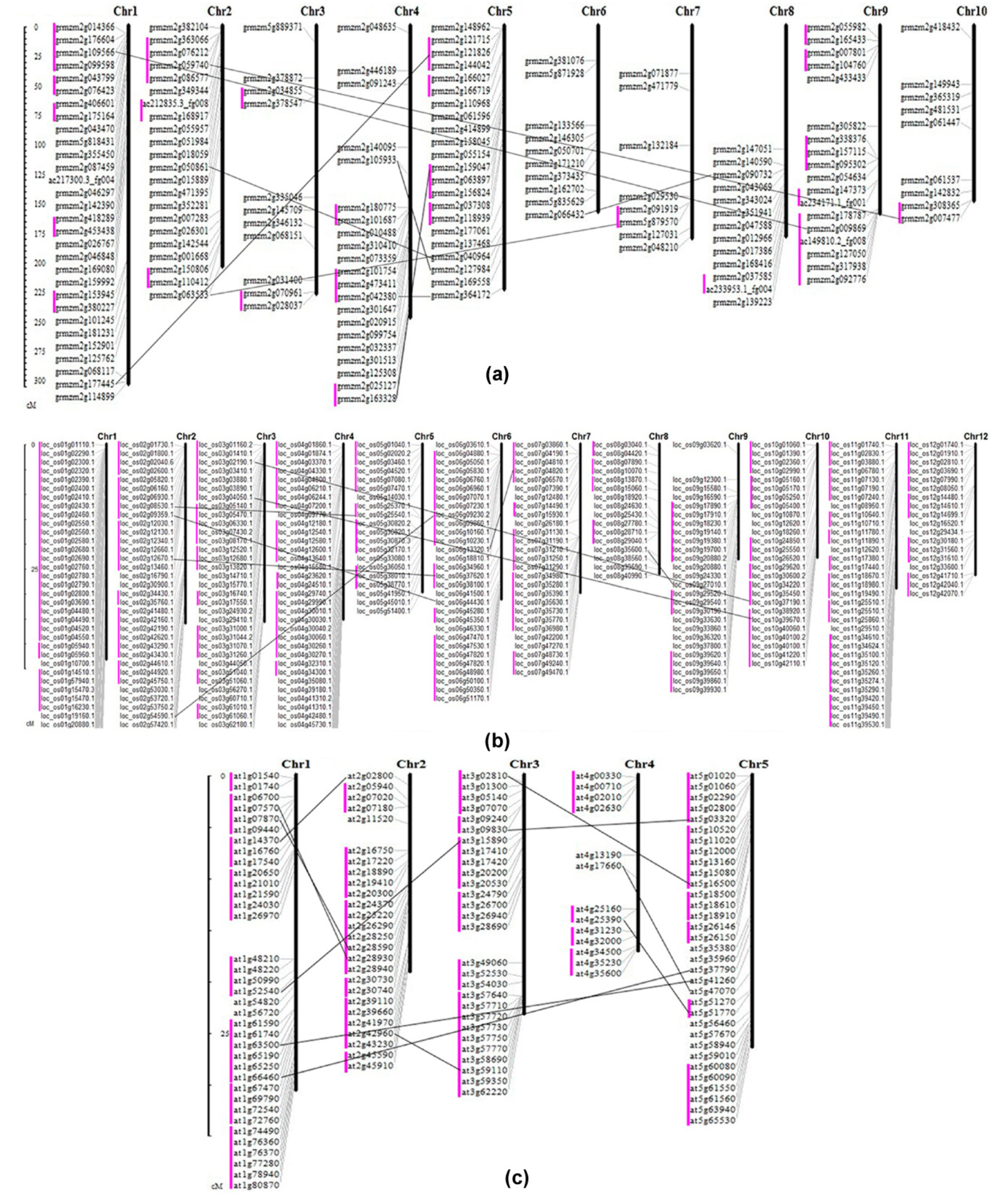 Ijms 19 03680 g004 Ijms 19 03680 g004