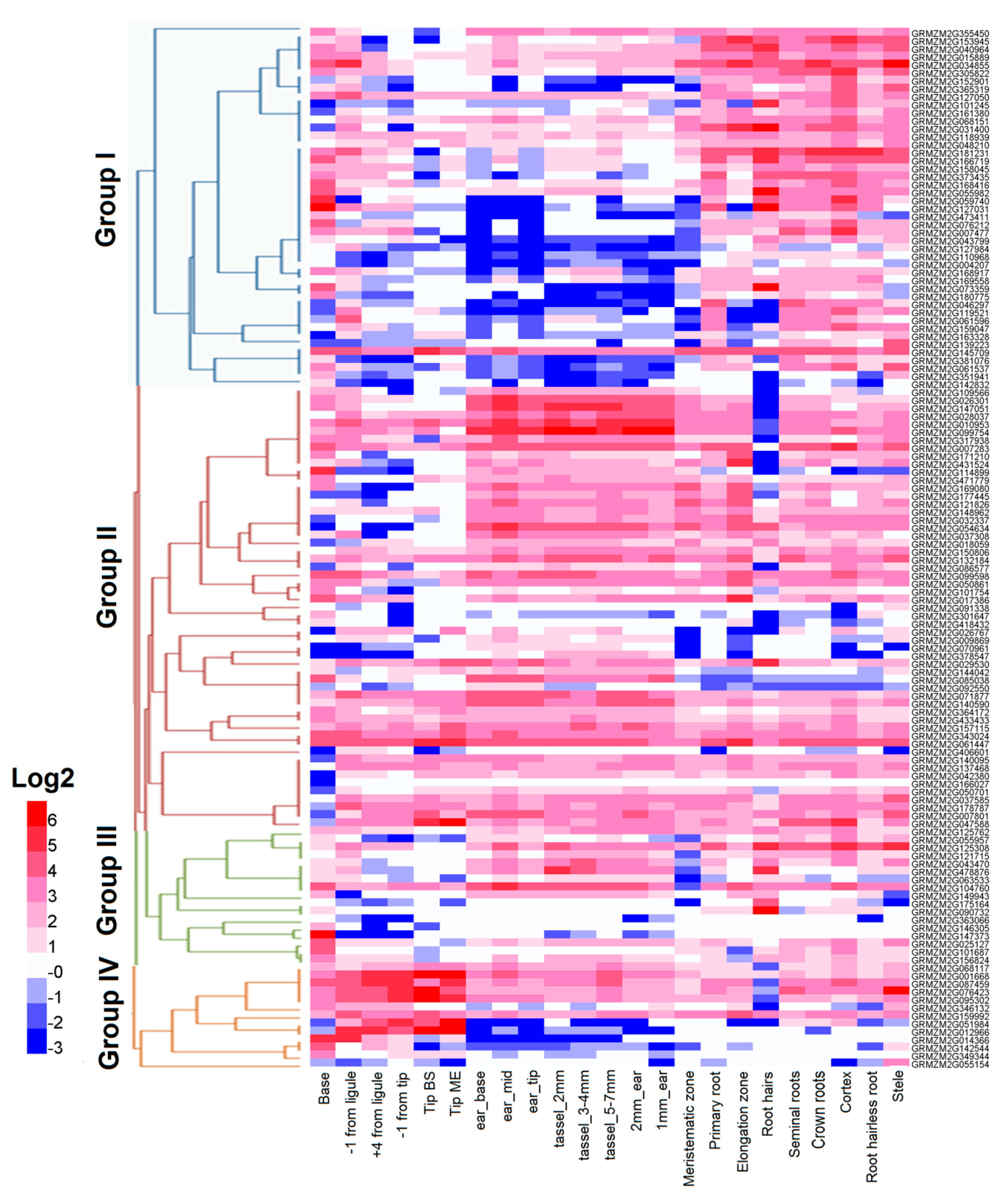 Ijms 19 03680 g005 Ijms 19 03680 g005