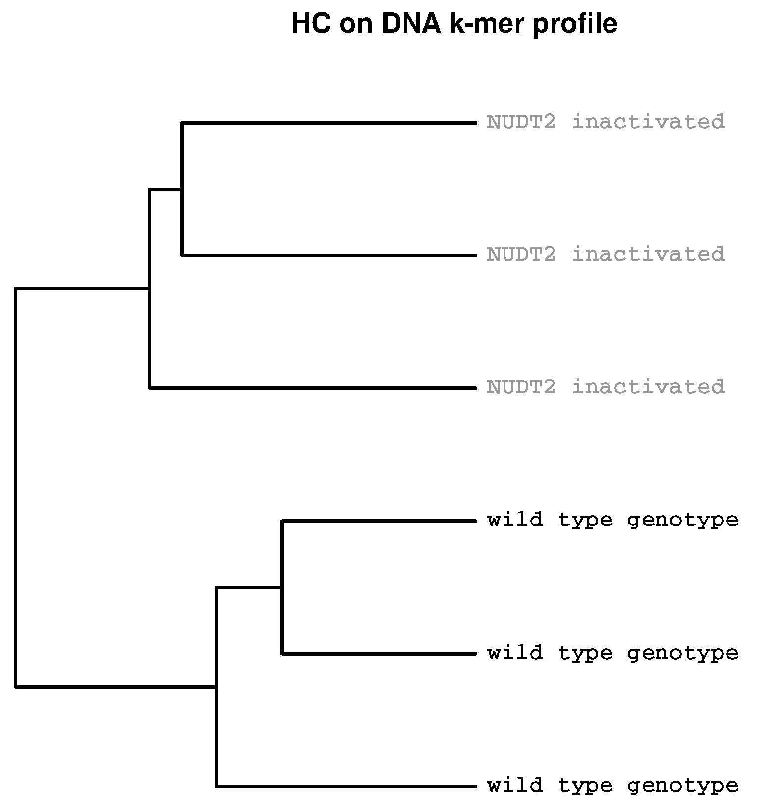 Ijms 19 03687 g002