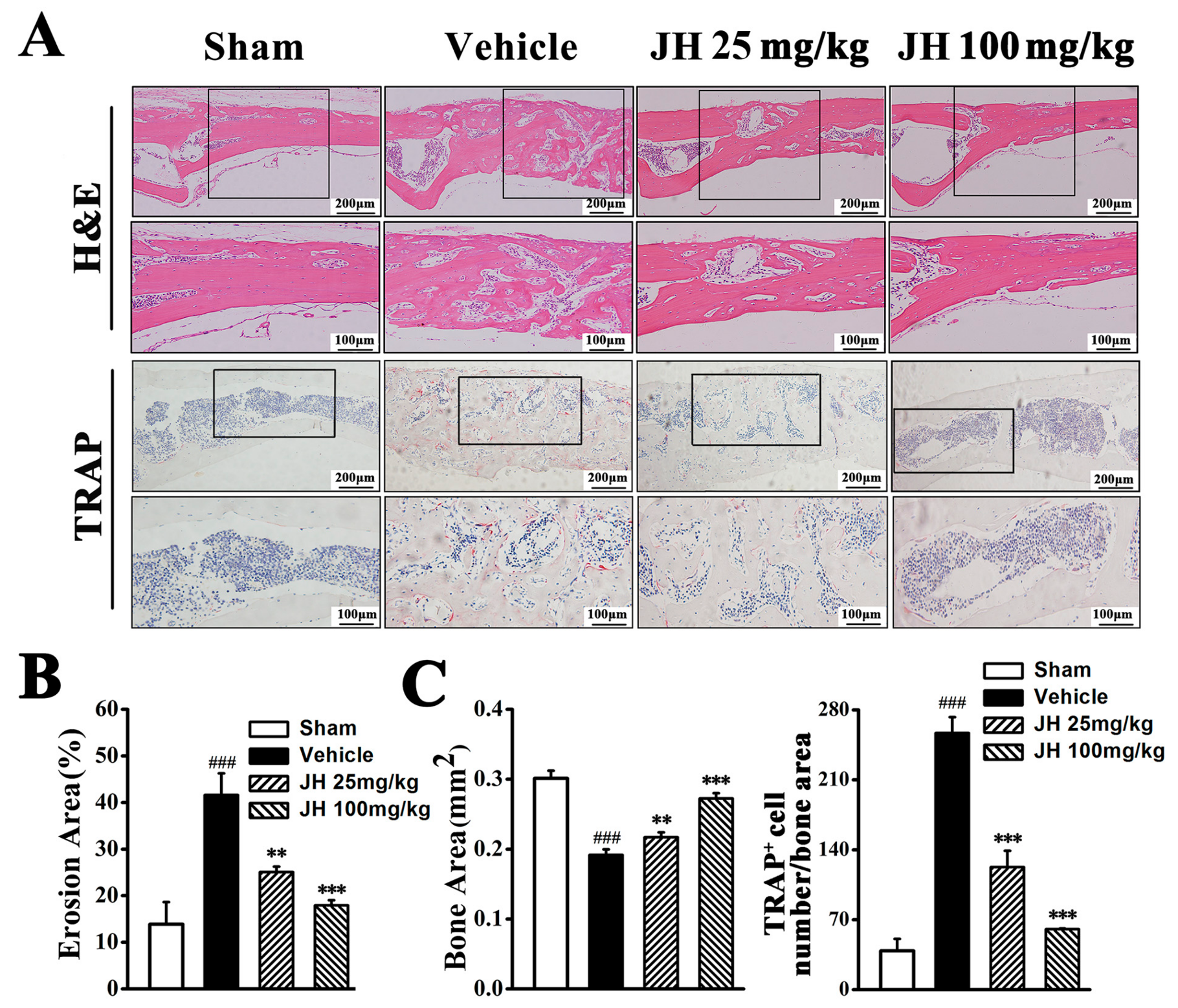 Ijms 19 03698 g002 Ijms 19 03698 g002