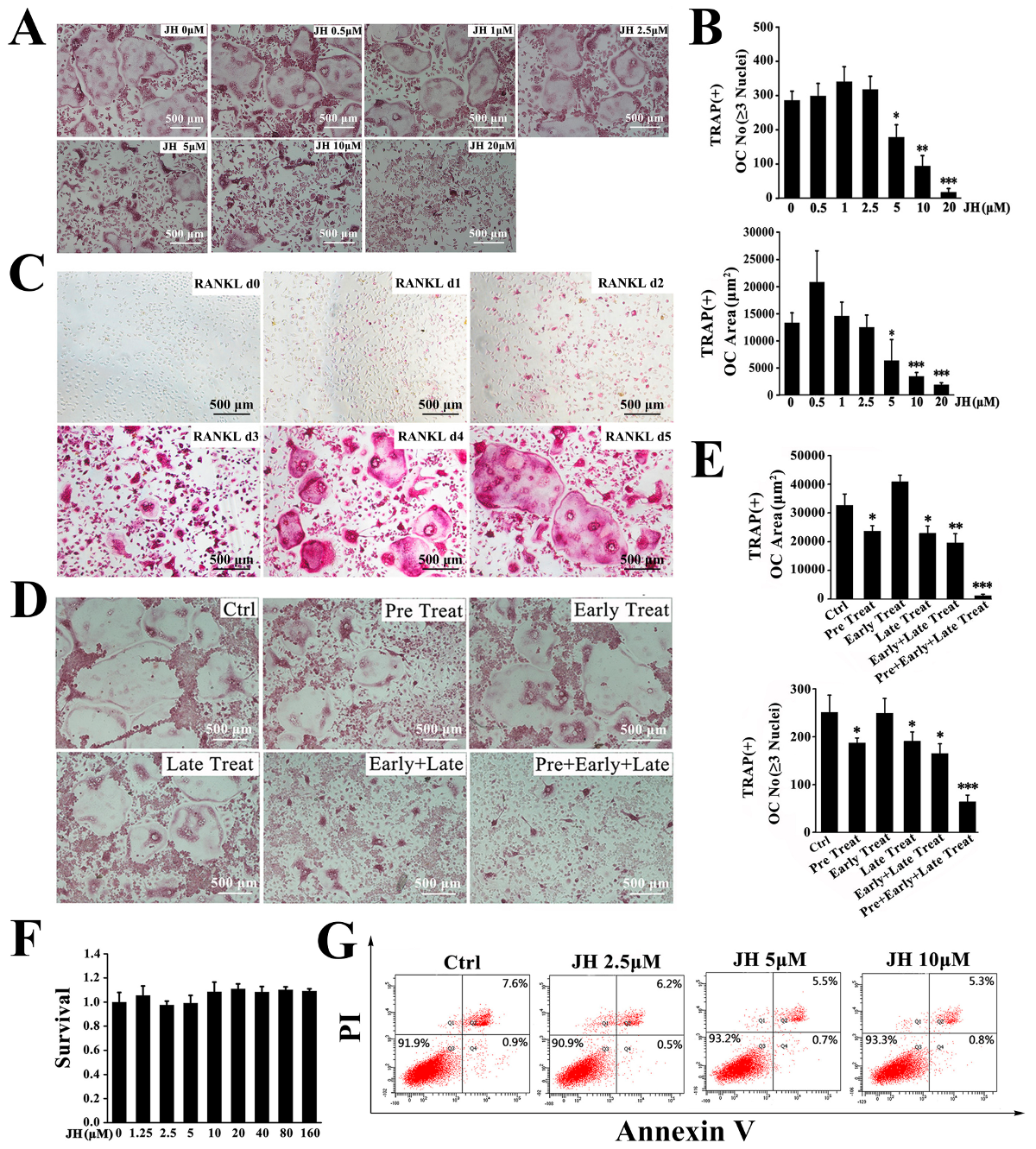 Ijms 19 03698 g003 Ijms 19 03698 g003