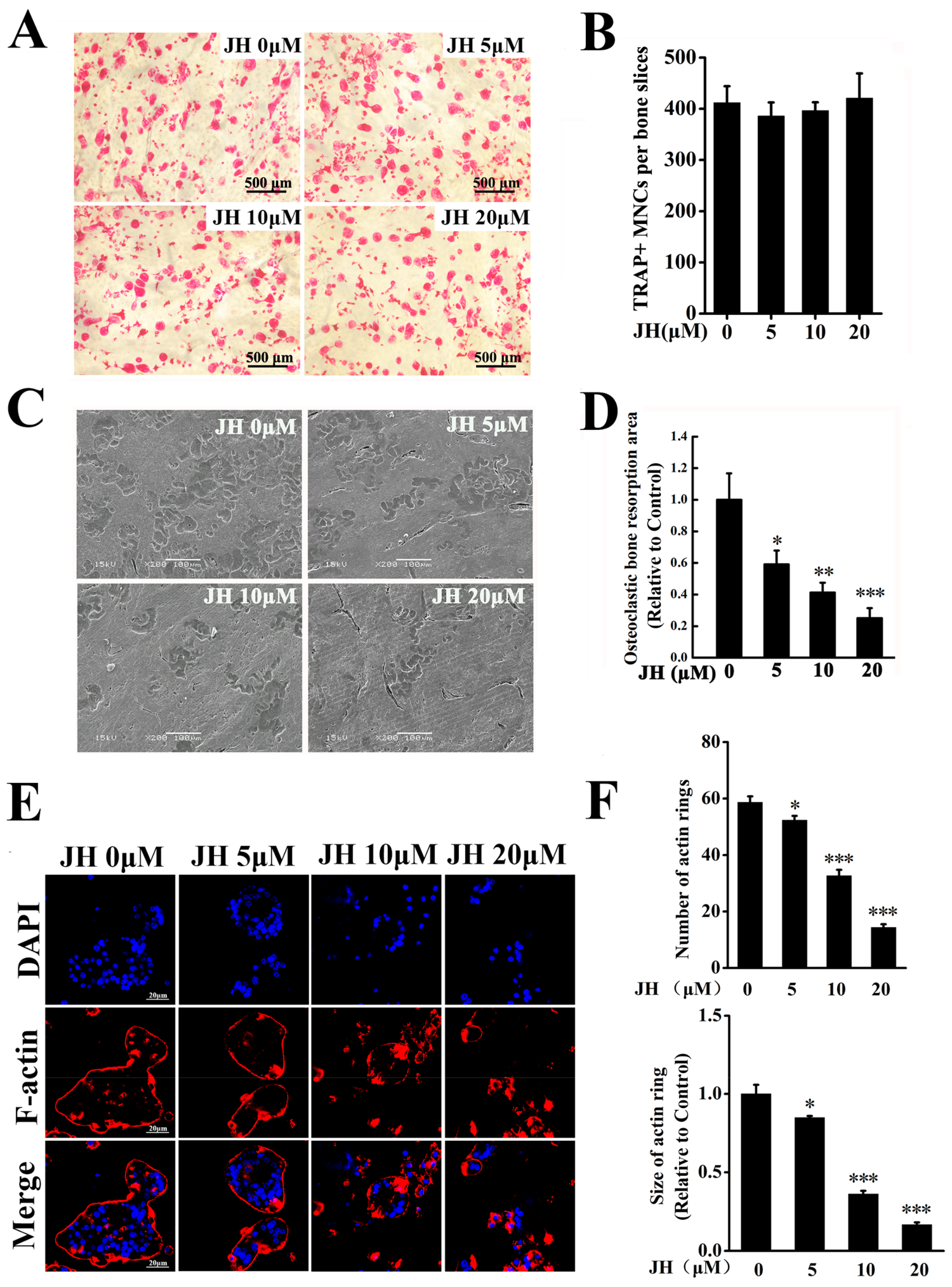 Ijms 19 03698 g004 Ijms 19 03698 g004