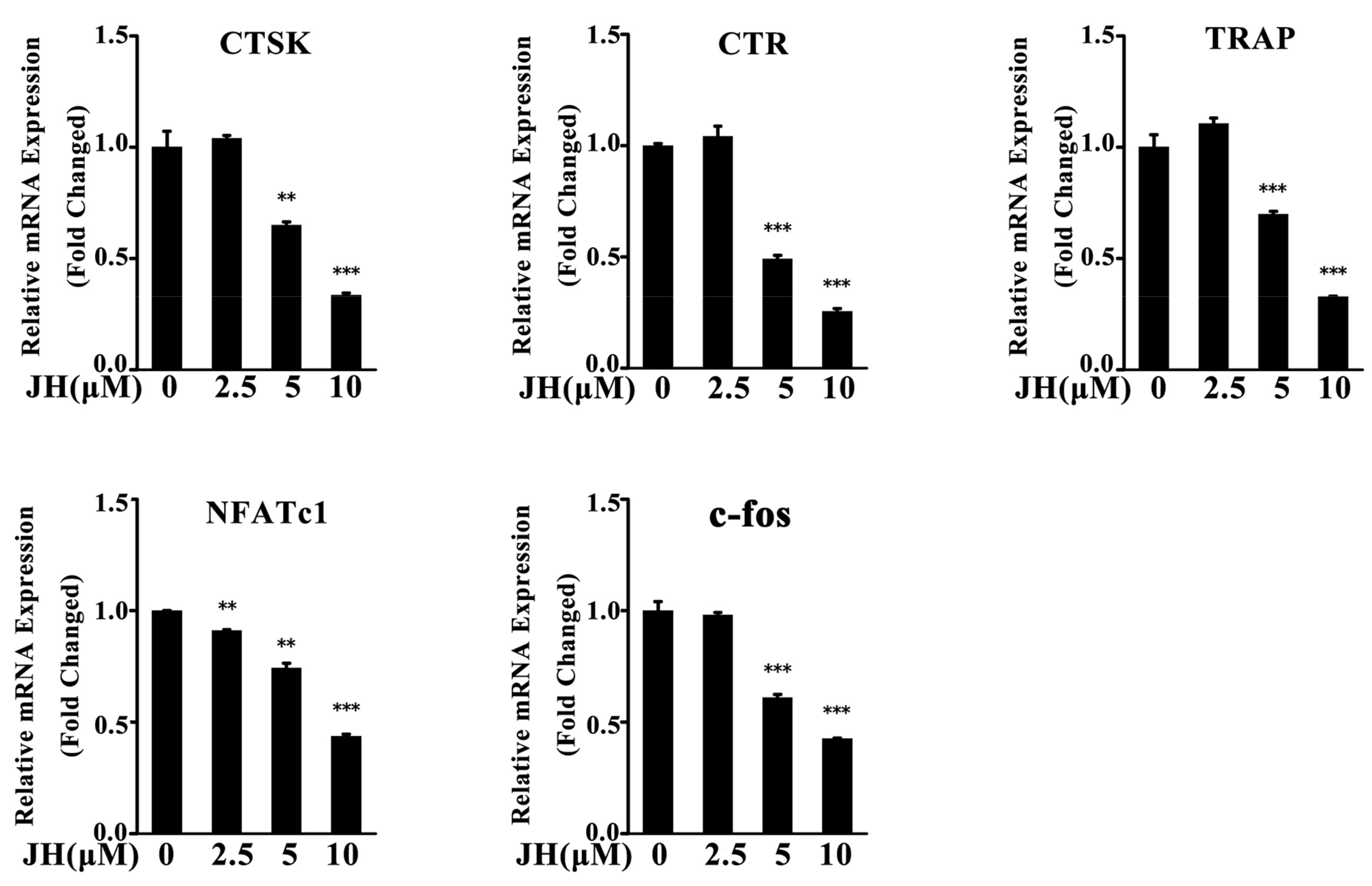 Ijms 19 03698 g005 Ijms 19 03698 g005