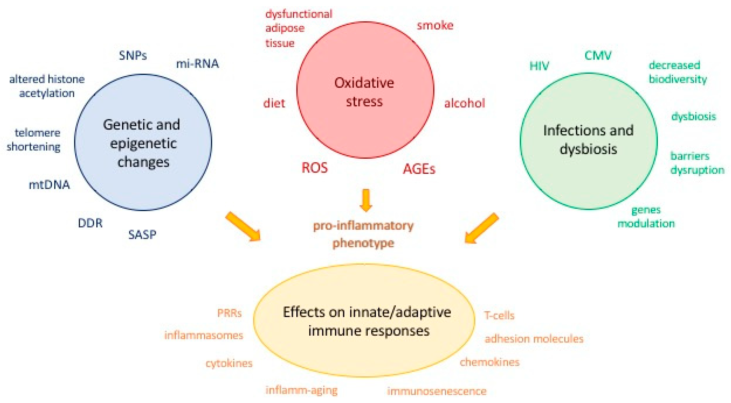 Ijms 19 03701 g001 Ijms 19 03701 g001