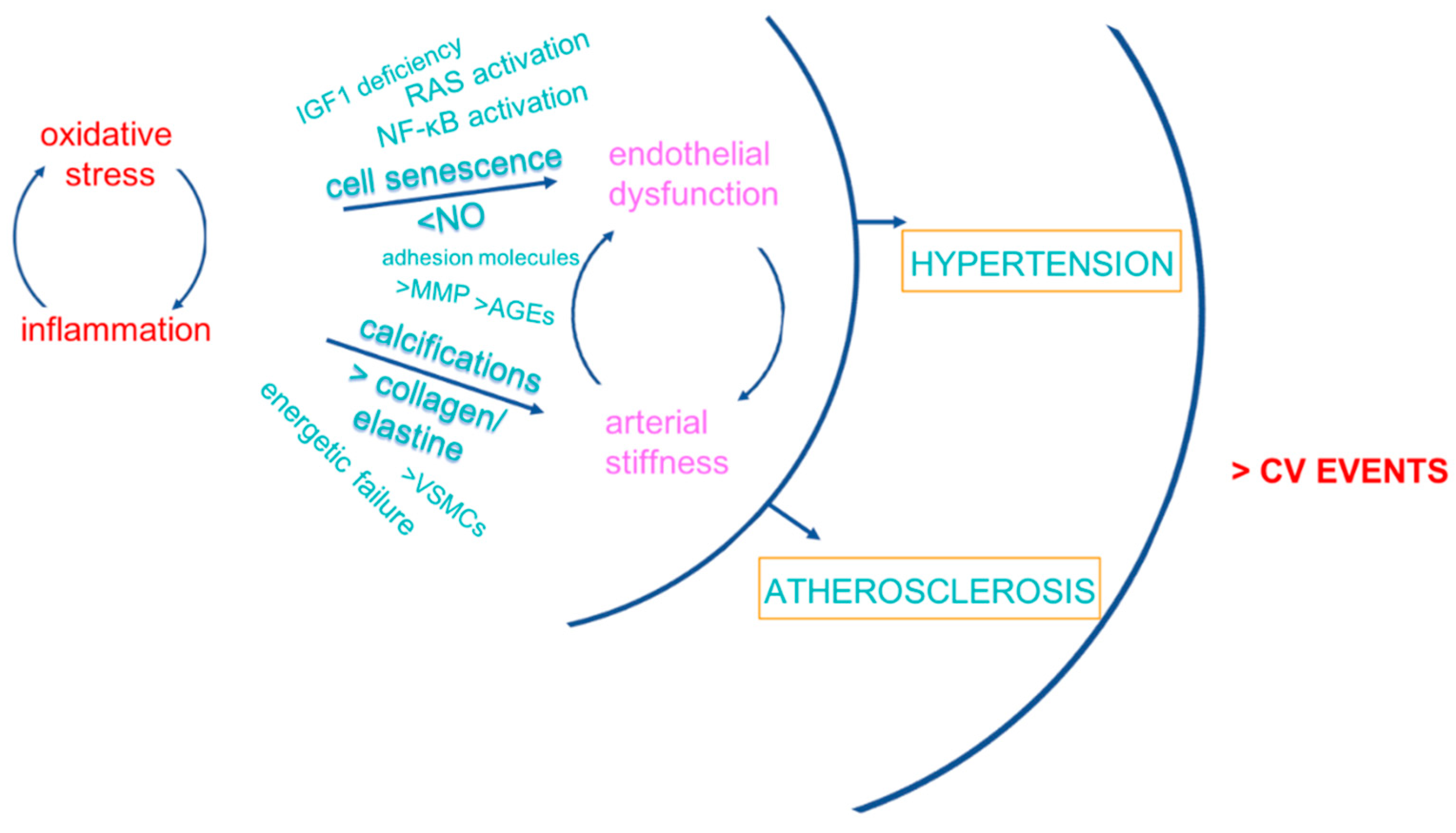 Ijms 19 03701 g002 Ijms 19 03701 g002