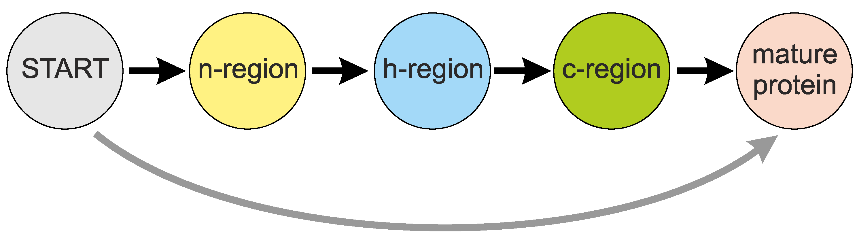 Ijms 19 03709 g009 Ijms 19 03709 g009