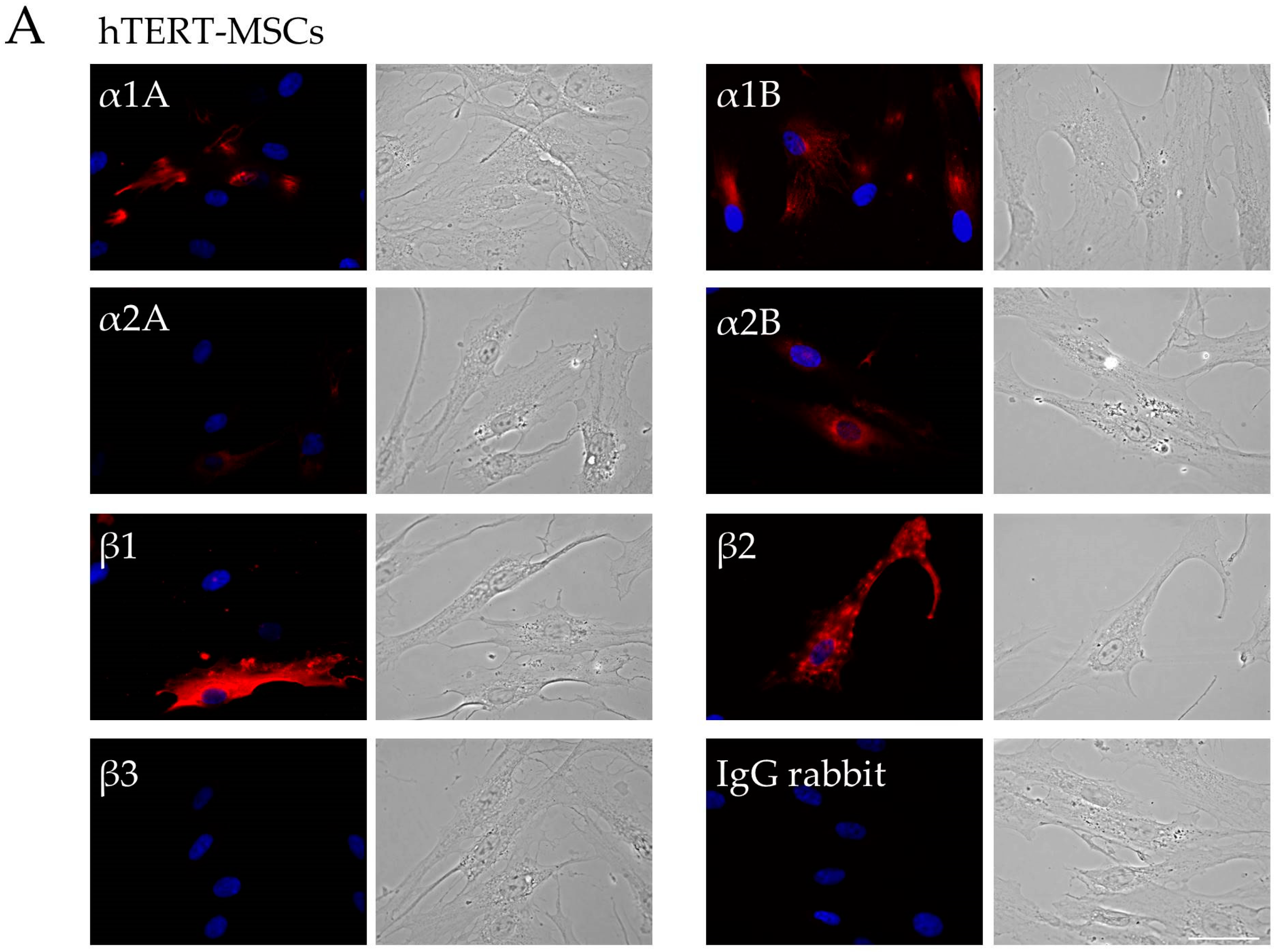 Ijms 19 03712 g001a
