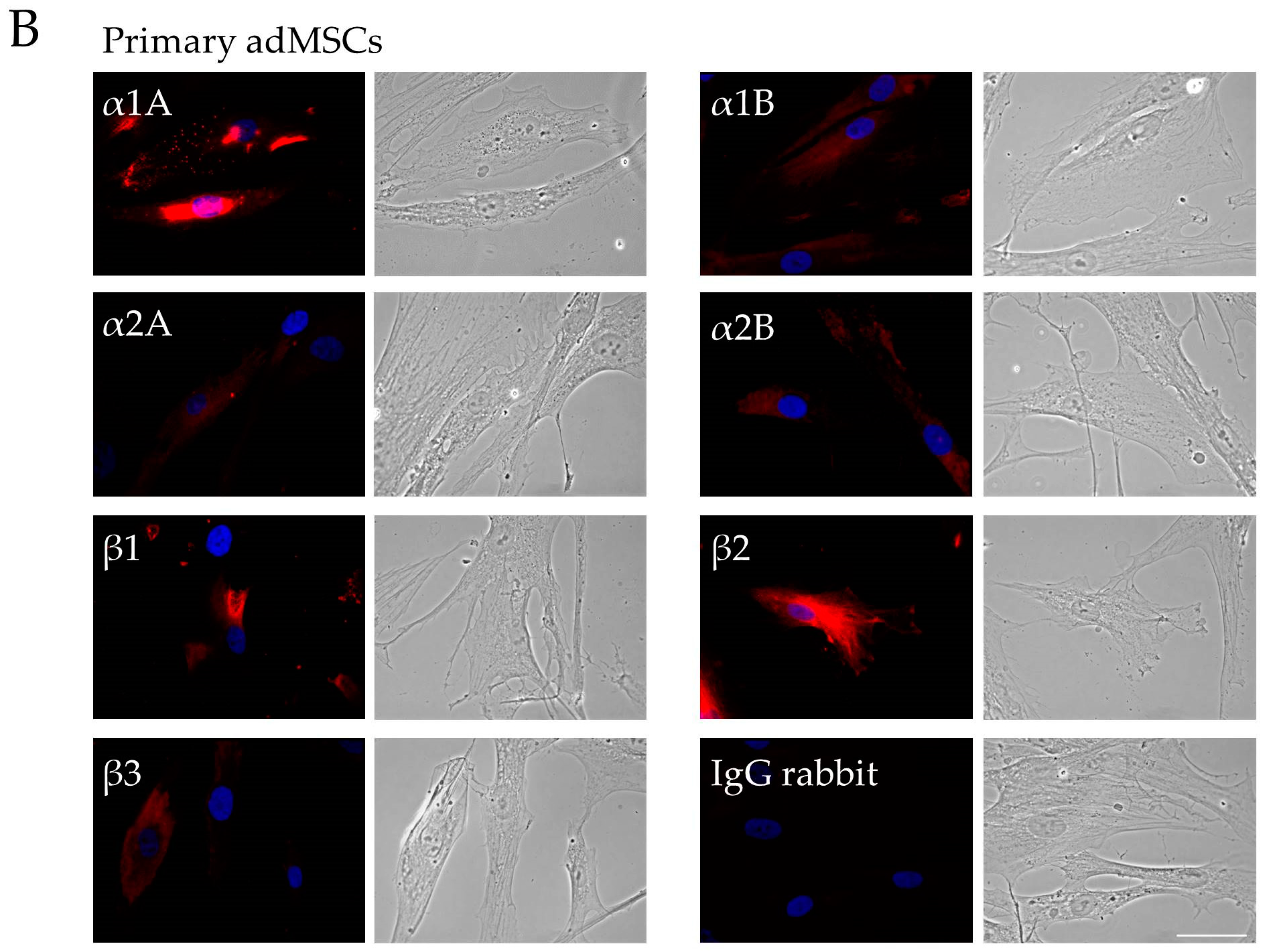 Ijms 19 03712 g001b