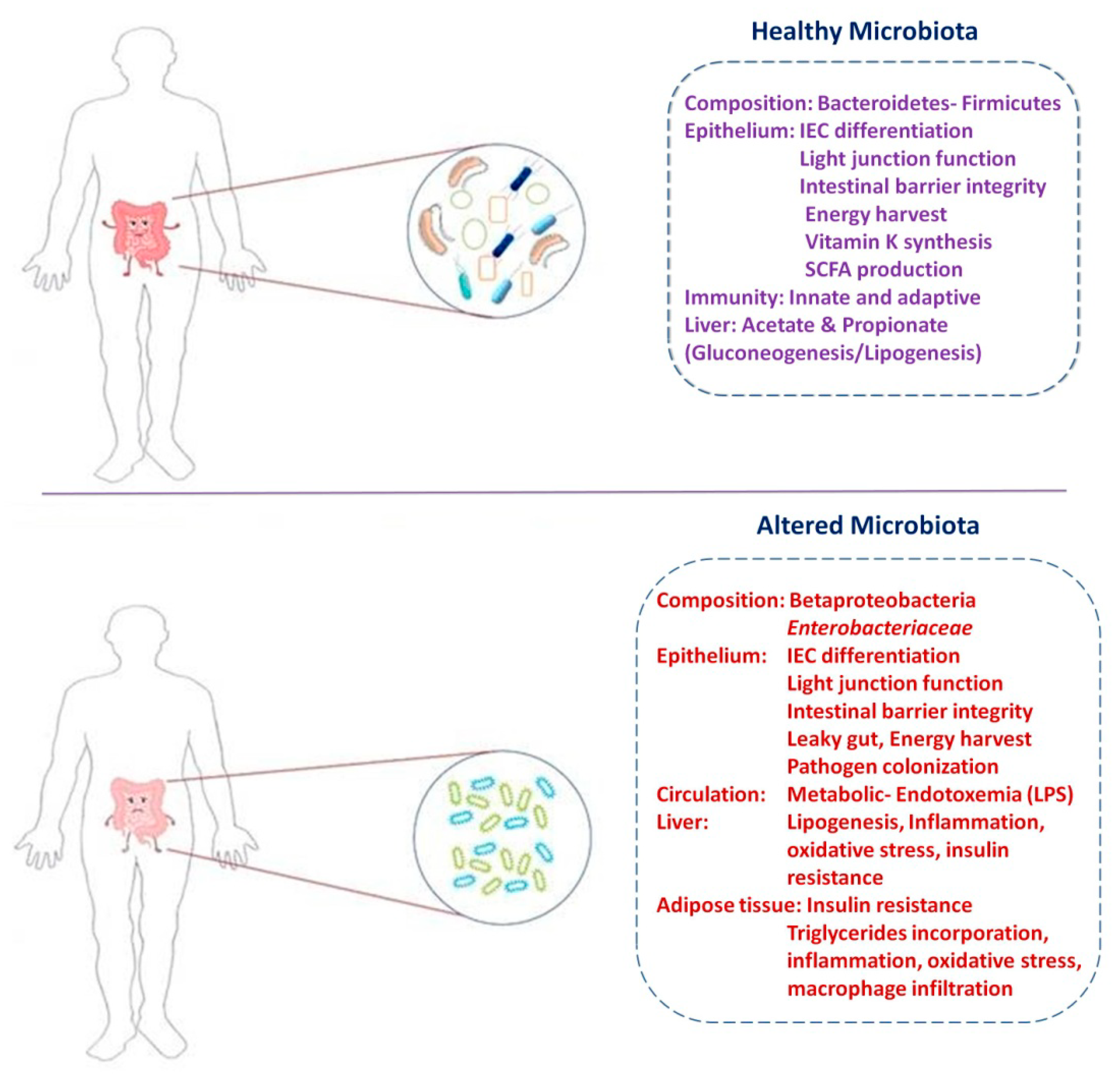 Ijms 19 03720 g001 Ijms 19 03720 g001