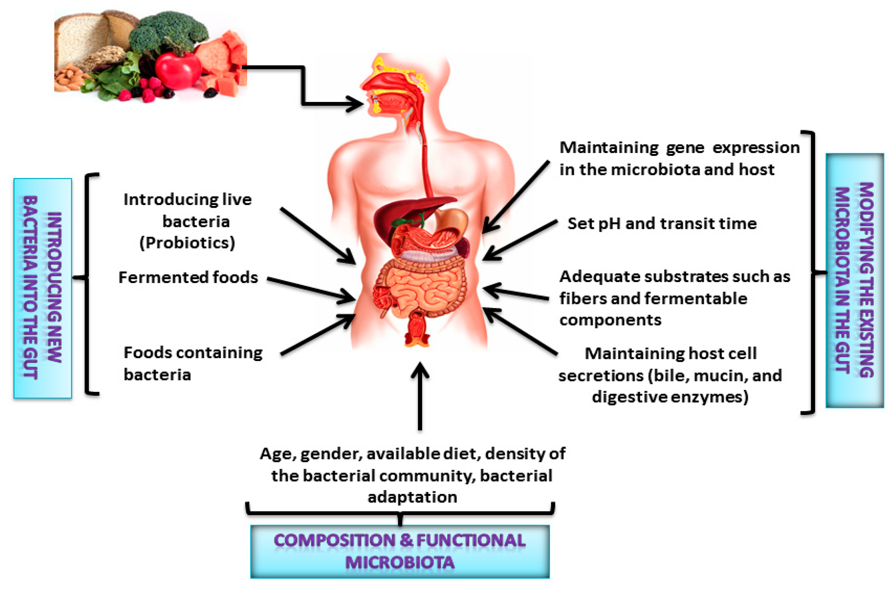 Ijms 19 03720 g002 Ijms 19 03720 g002