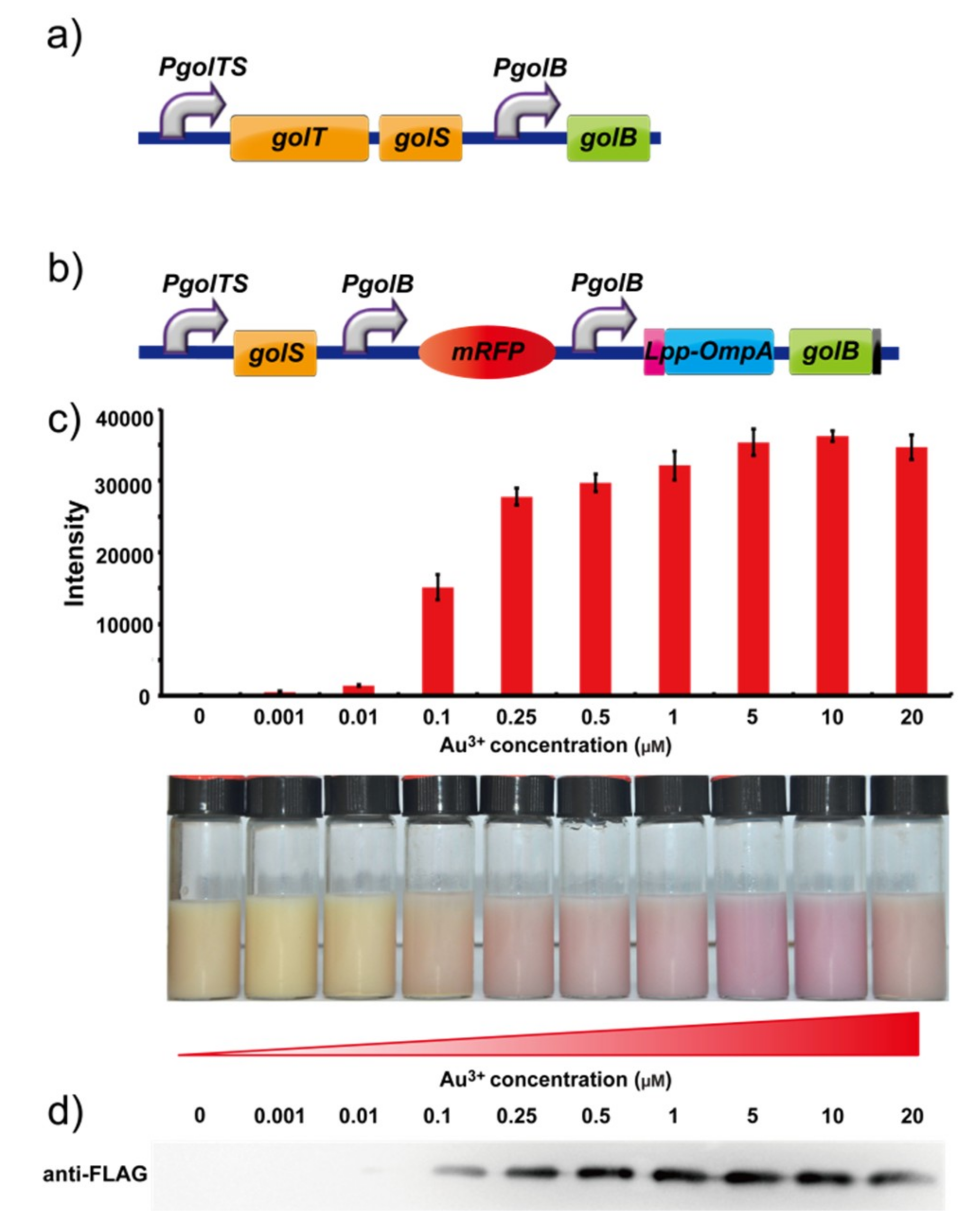 Ijms 19 03741 g001 550