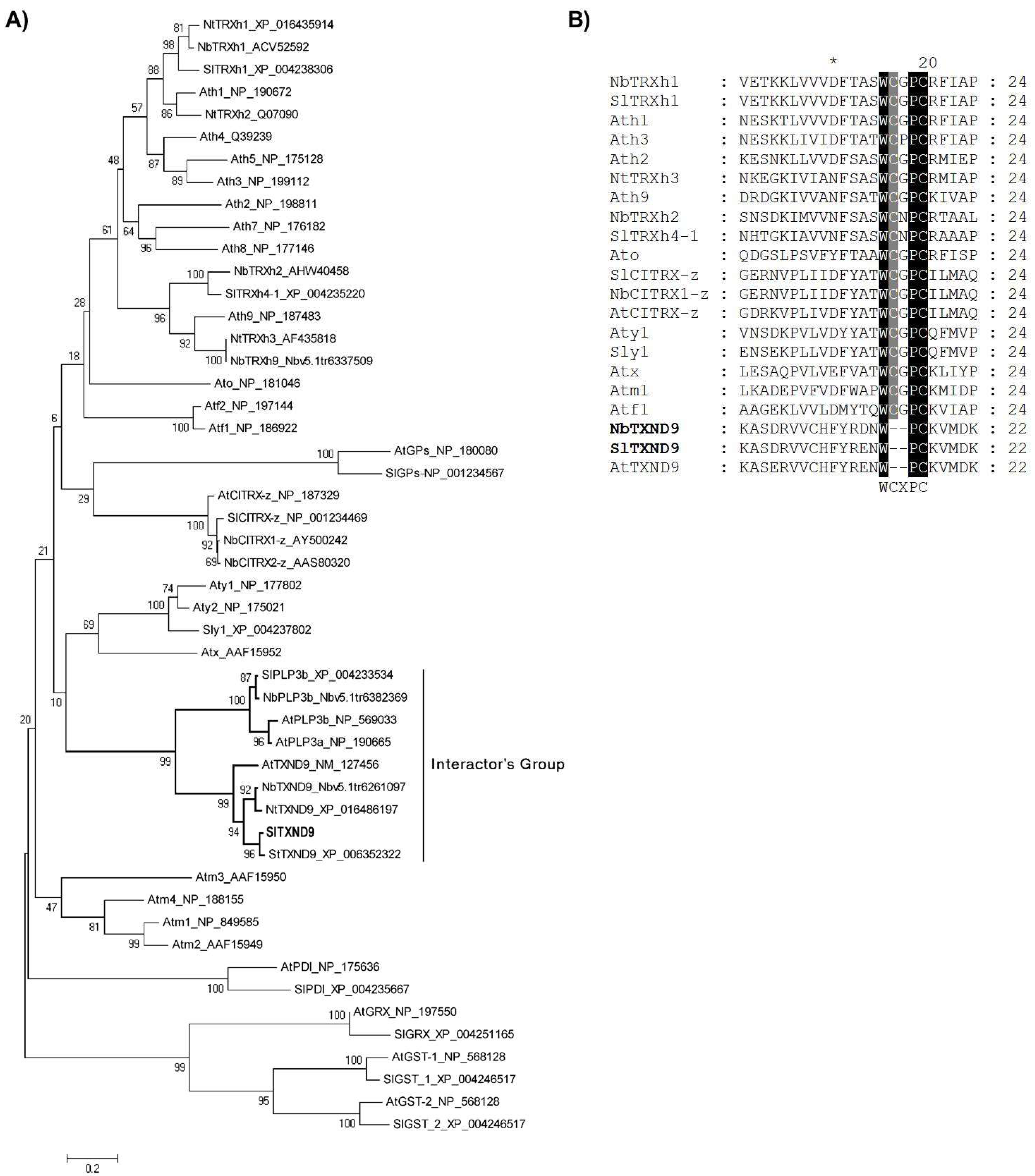 Ijms 19 03747 g002 Ijms 19 03747 g002