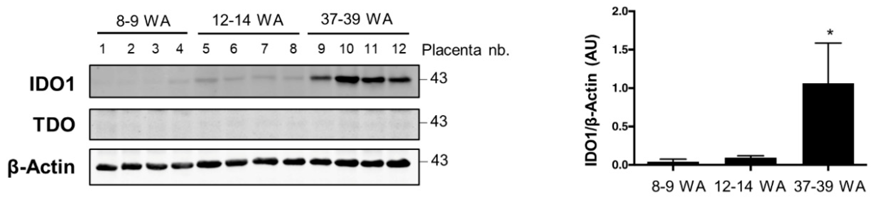 Ijms 19 03762 g003 Ijms 19 03762 g003