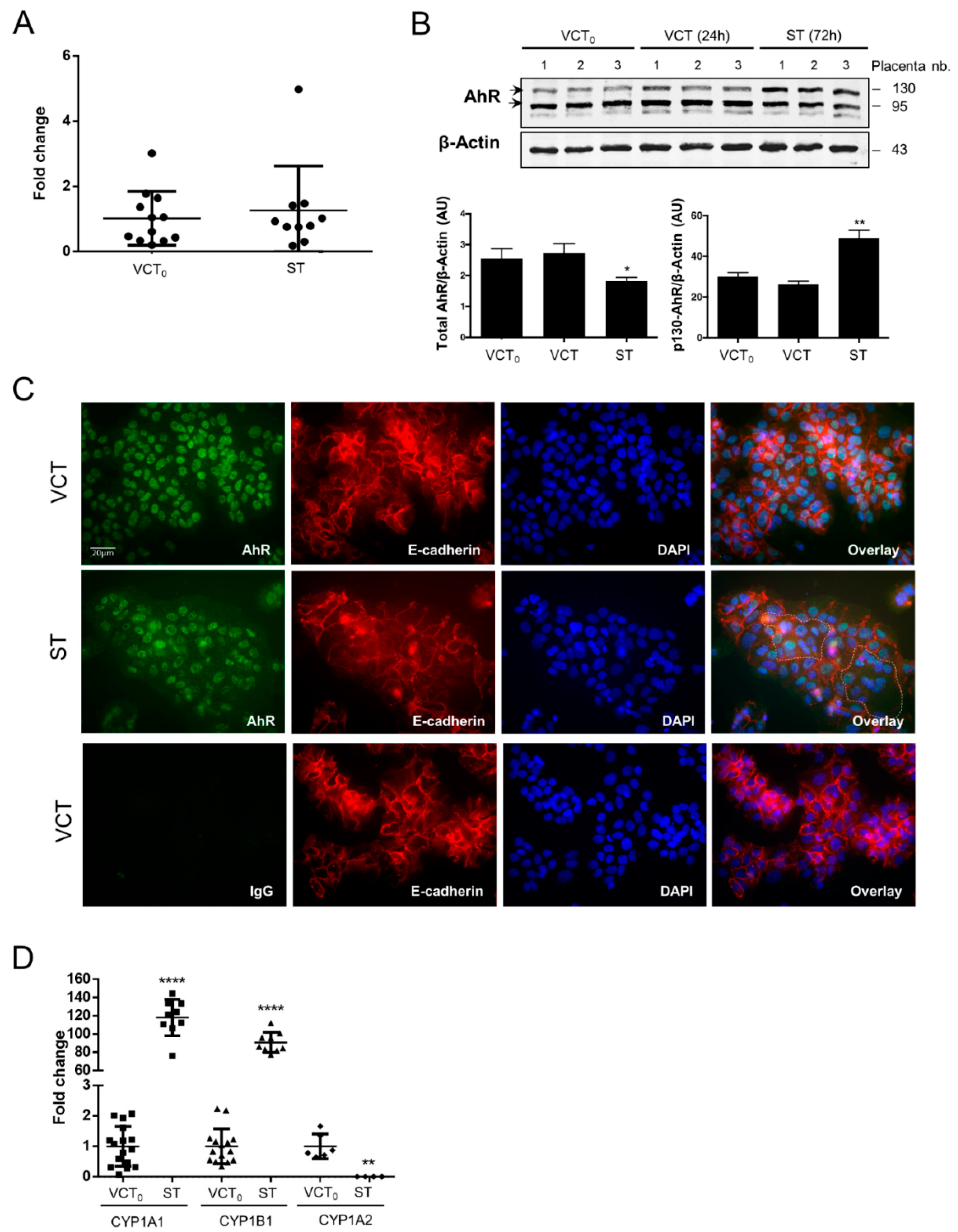 Ijms 19 03762 g004 Ijms 19 03762 g004