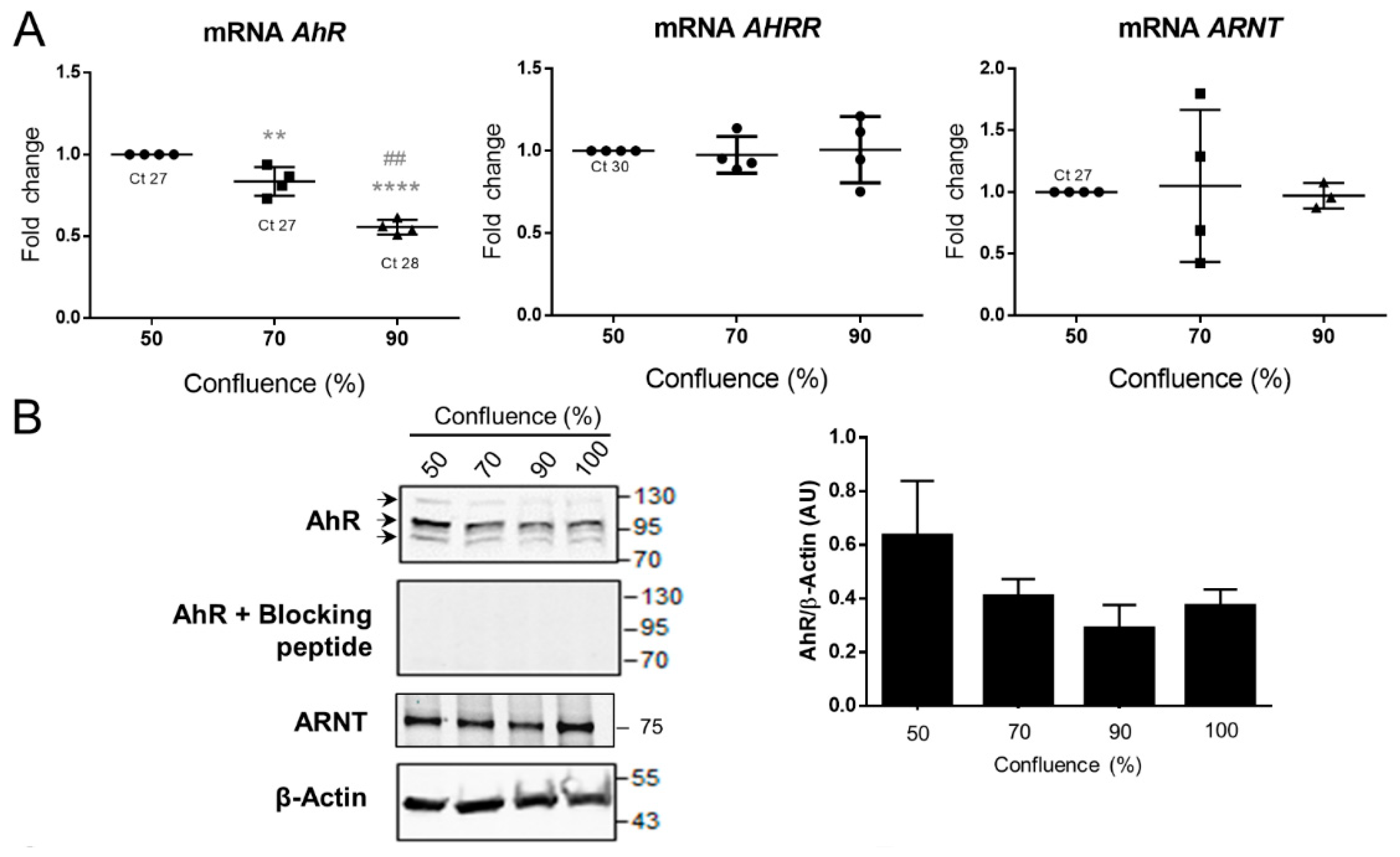 Ijms 19 03762 g005a Ijms 19 03762 g005a