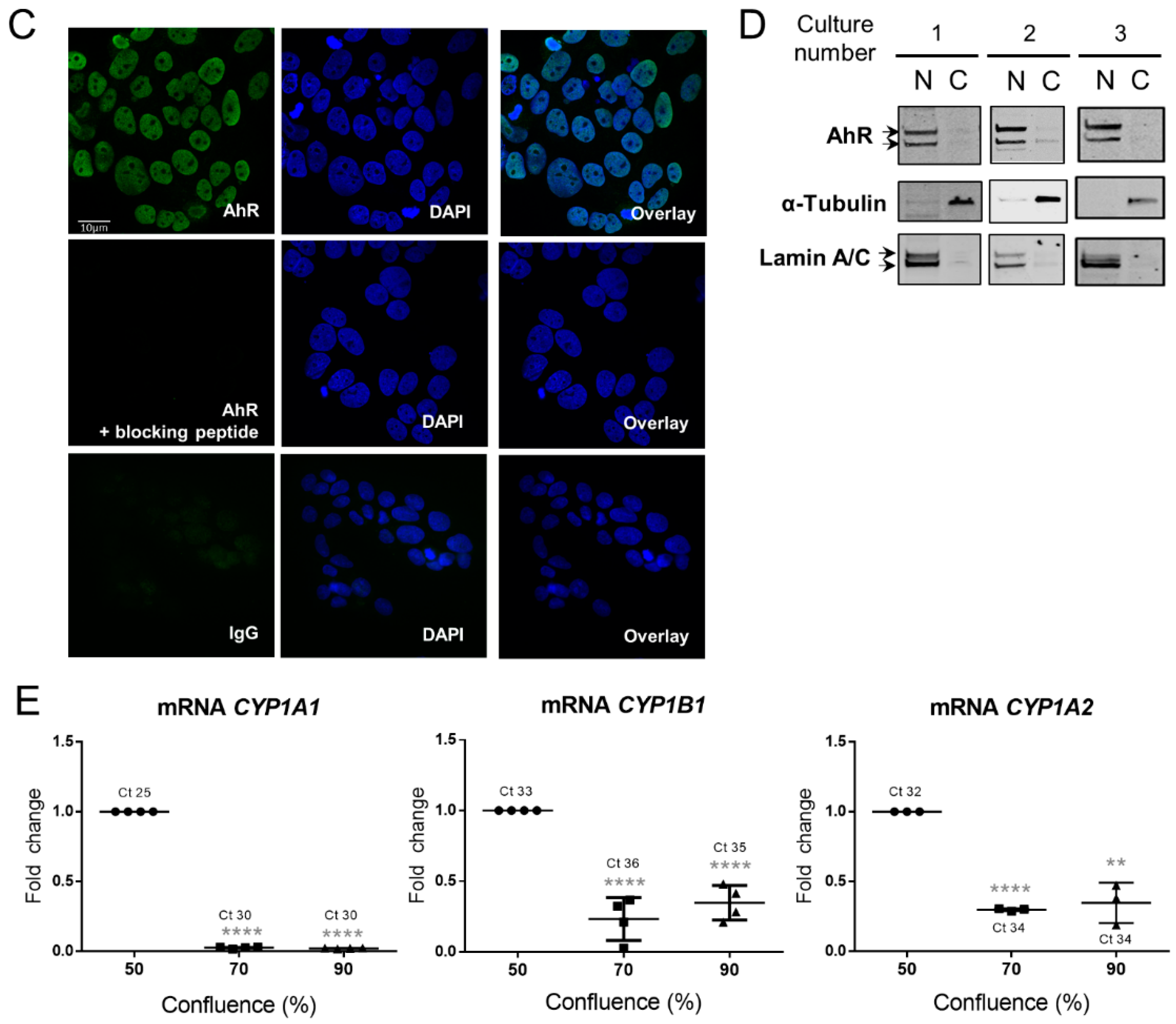 Ijms 19 03762 g005b Ijms 19 03762 g005b