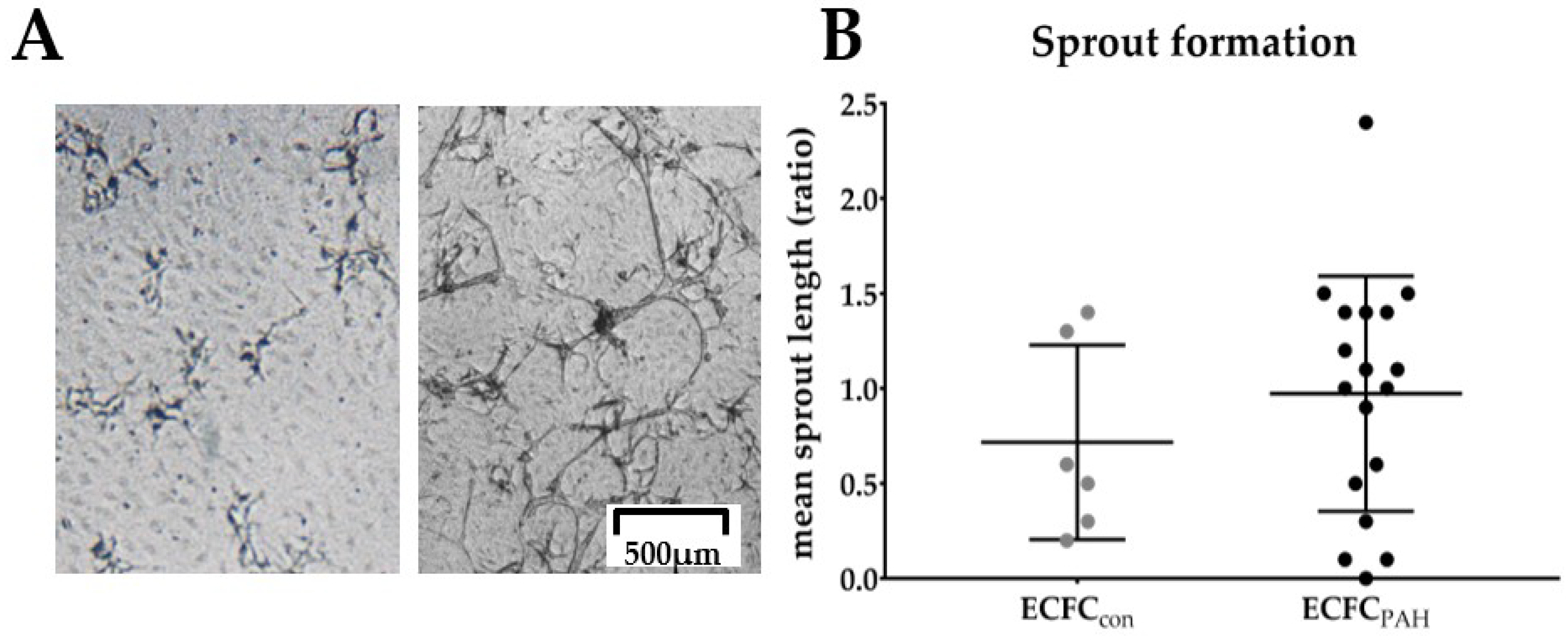 Ijms 19 03763 g003 Ijms 19 03763 g003