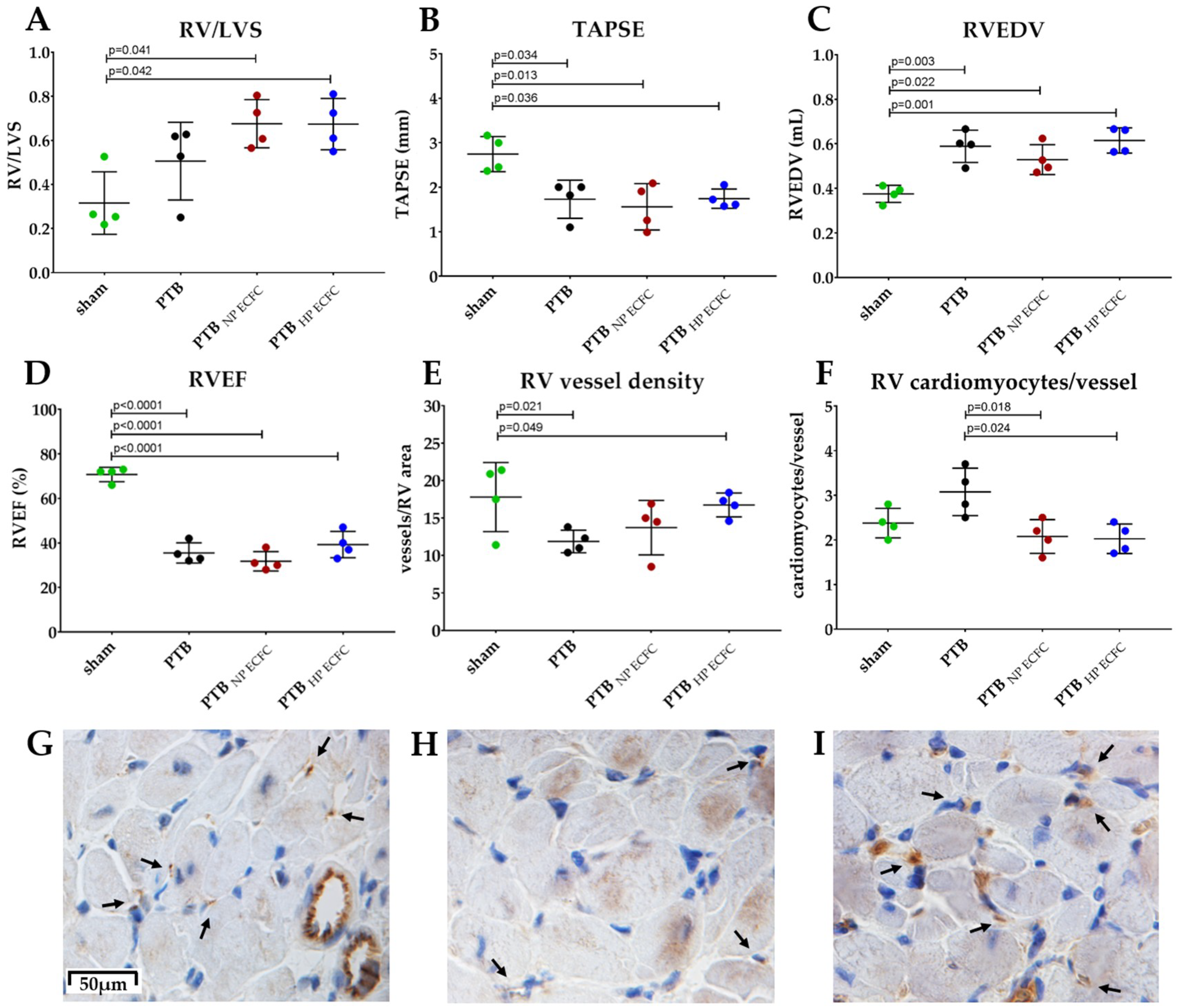 Ijms 19 03763 g004 Ijms 19 03763 g004