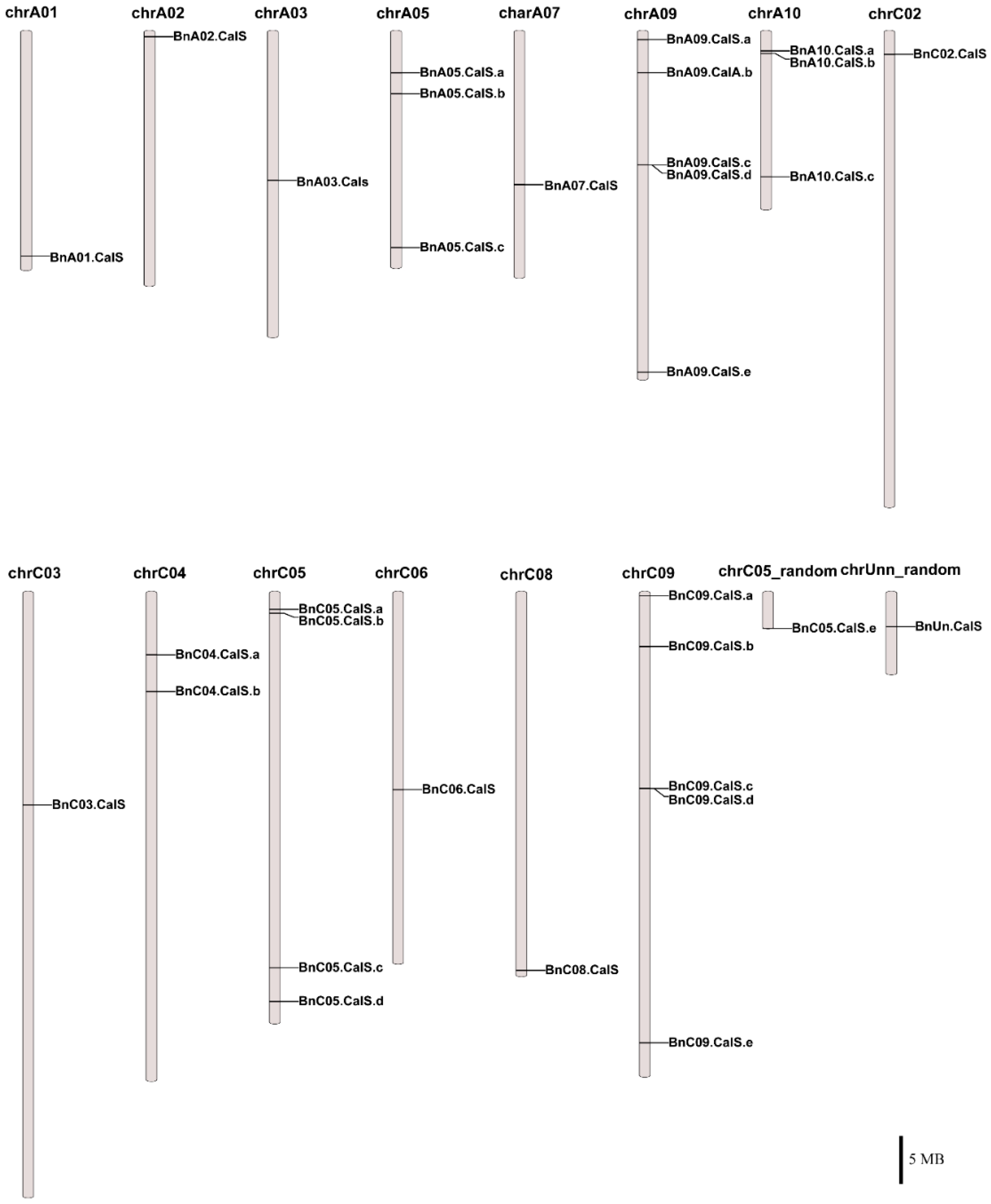 Ijms 19 03769 g003 Ijms 19 03769 g003