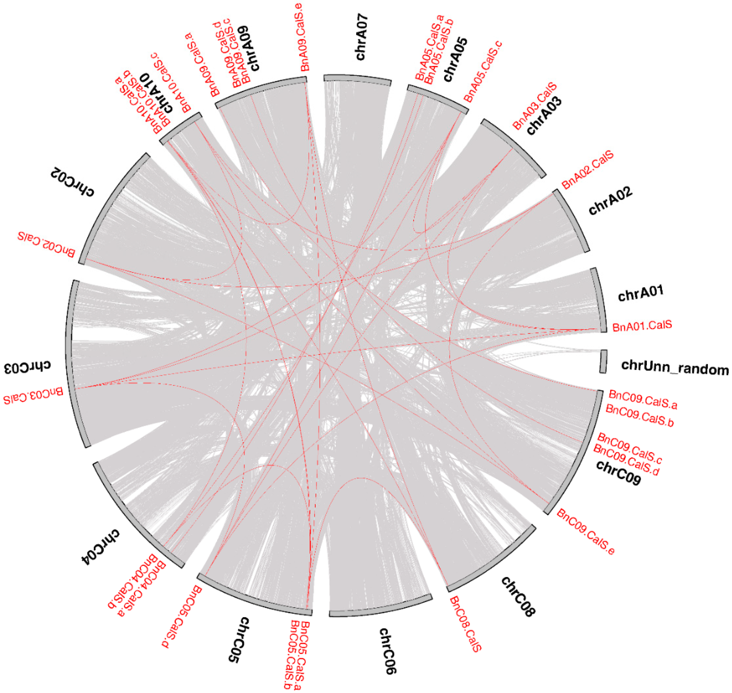 Ijms 19 03769 g004 Ijms 19 03769 g004