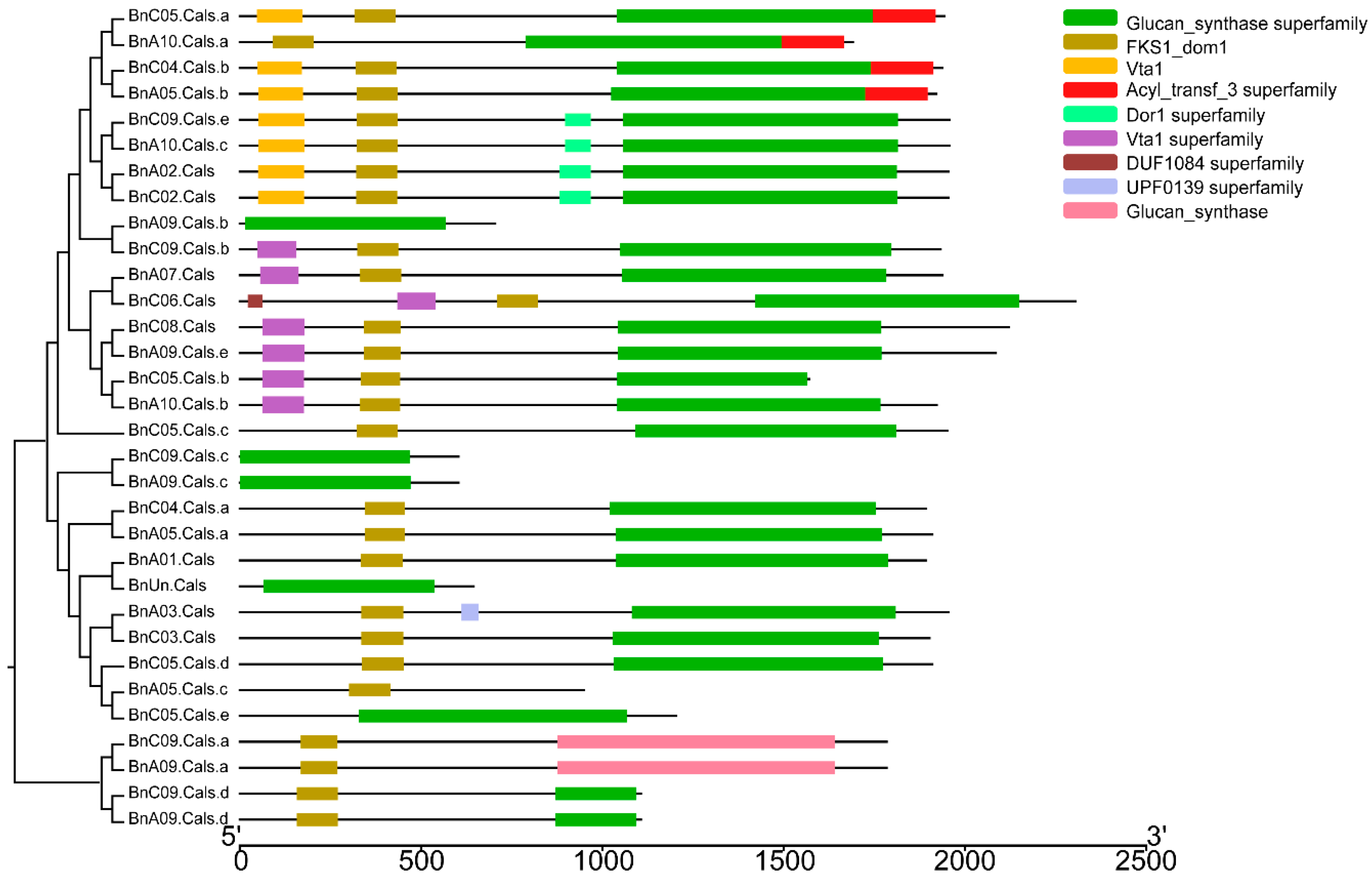 Ijms 19 03769 g006 Ijms 19 03769 g006