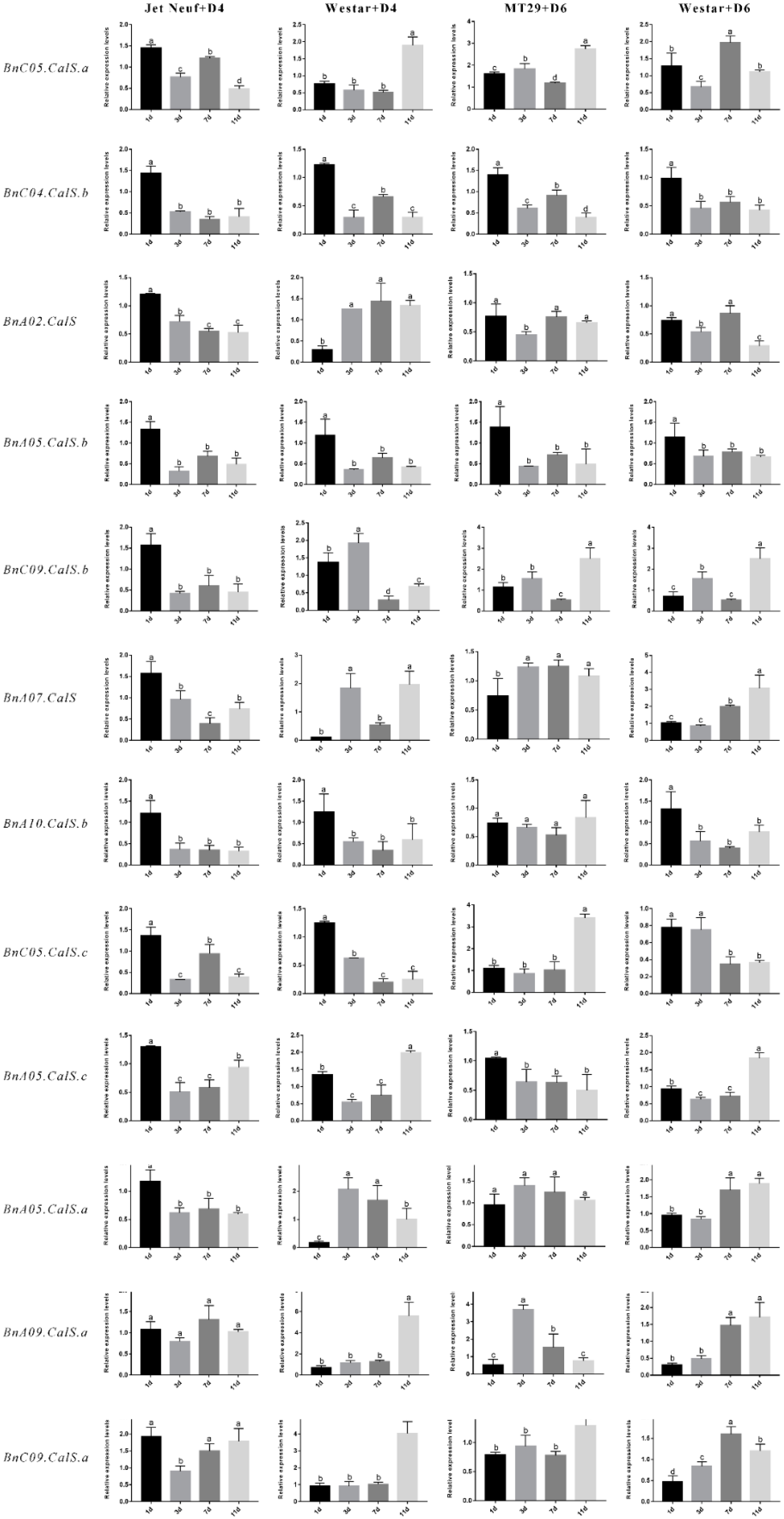 Ijms 19 03769 g008 Ijms 19 03769 g008