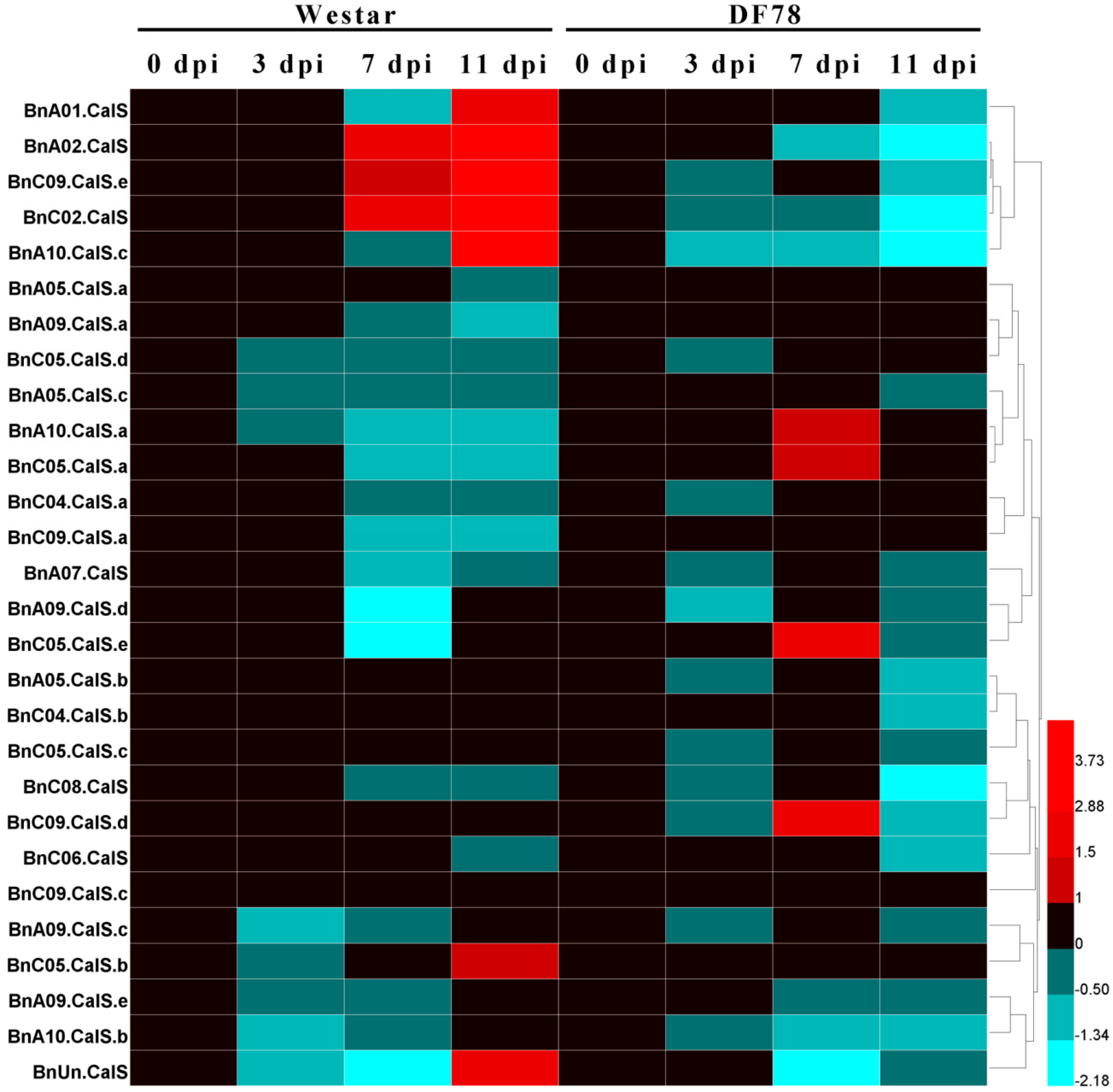 Ijms 19 03769 g009 Ijms 19 03769 g009