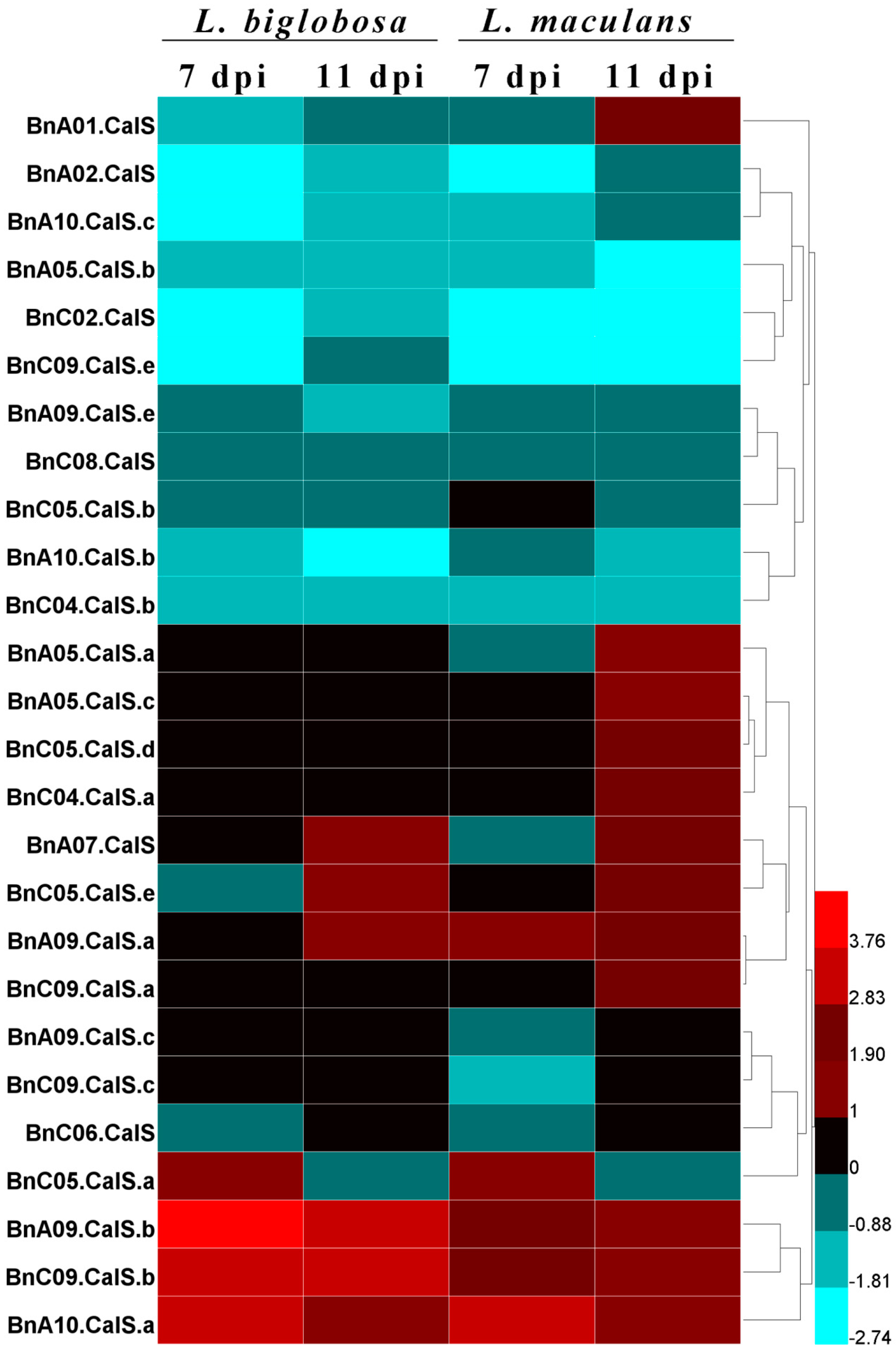 Ijms 19 03769 g010 Ijms 19 03769 g010