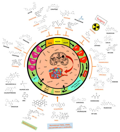 IJMS | Free Full-Text | Autophagic and Apoptotic Pathways as 