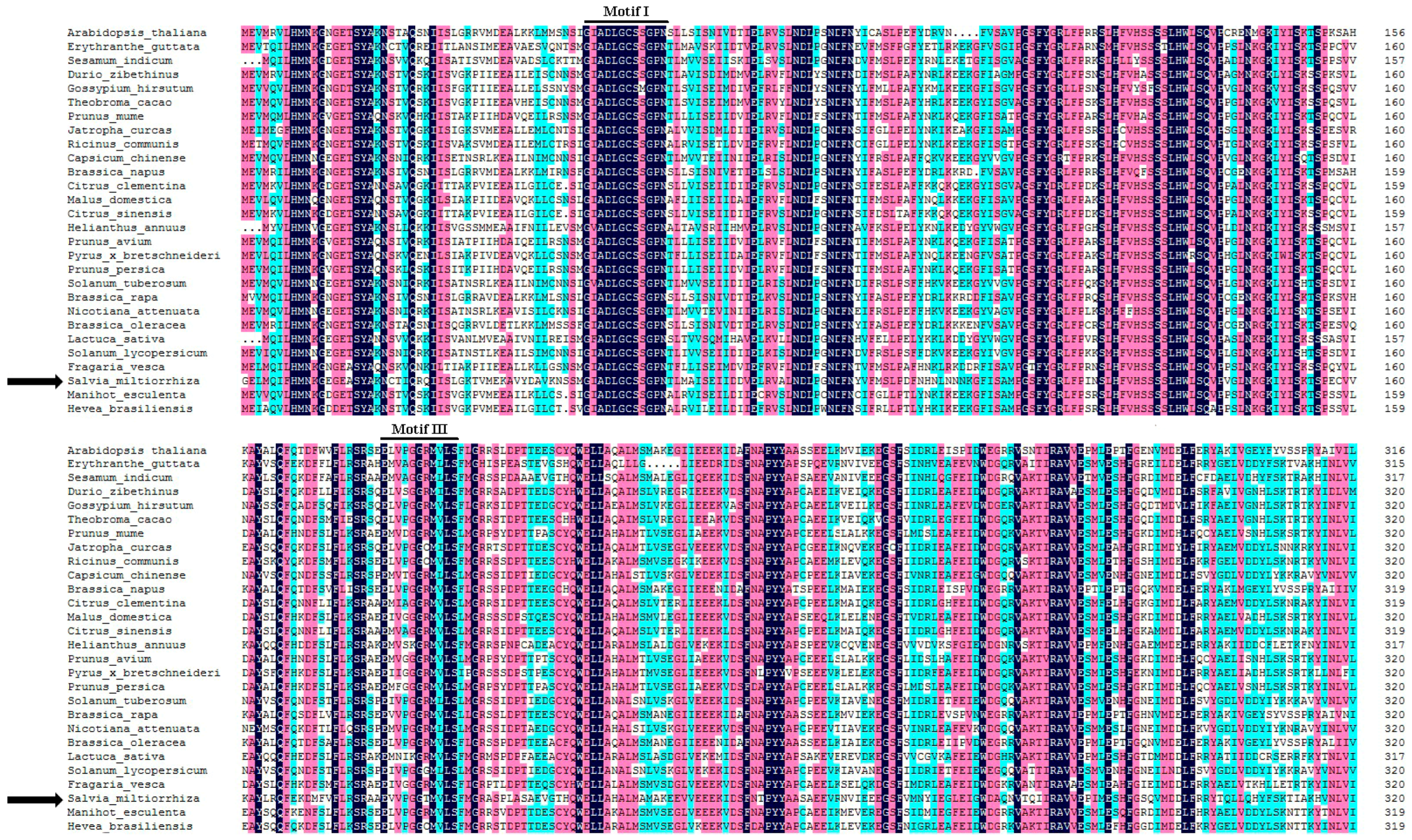 Ijms 19 03788 g001 Ijms 19 03788 g001