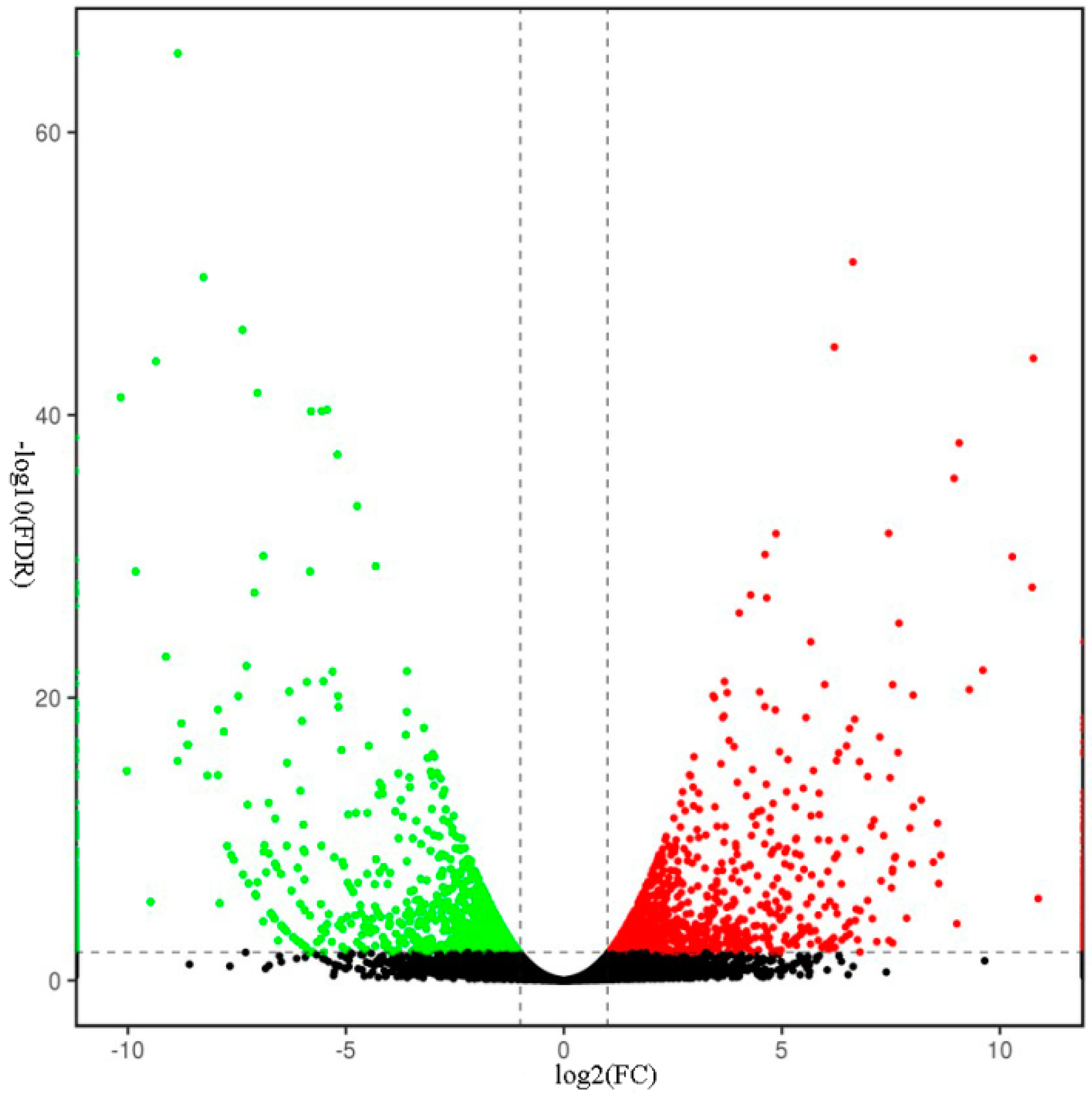 Ijms 19 03788 g004 Ijms 19 03788 g004