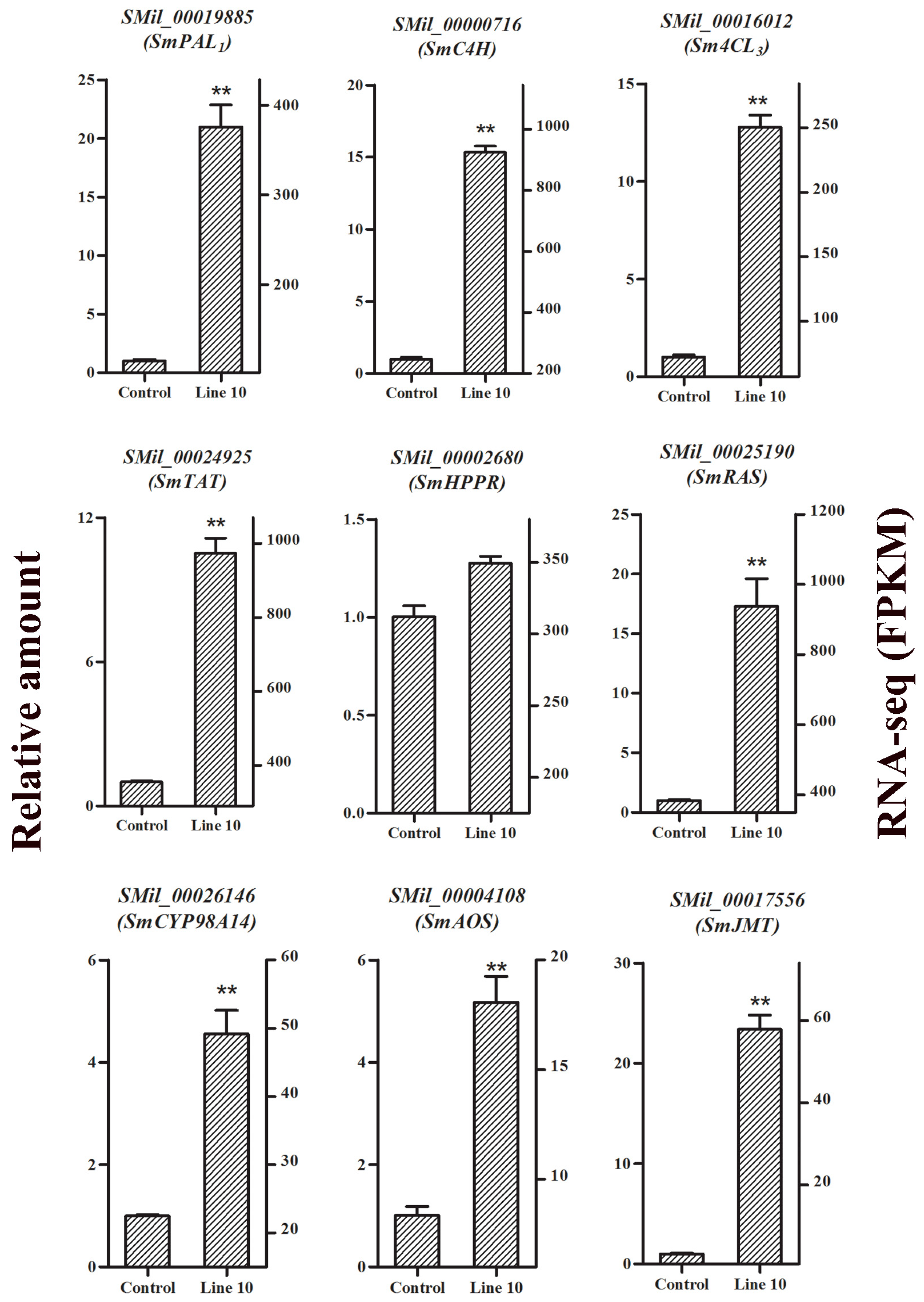 Ijms 19 03788 g008 Ijms 19 03788 g008