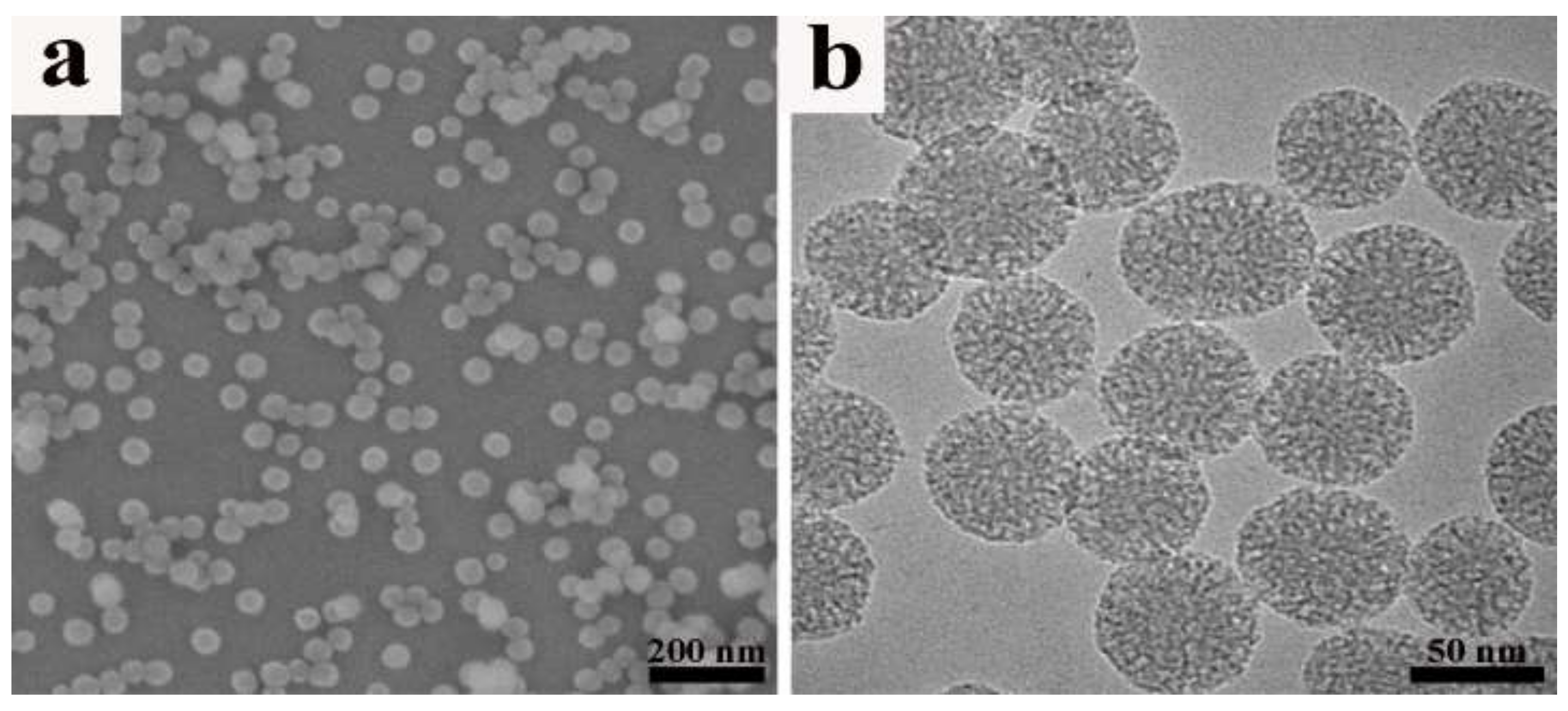 Ijms 19 03790 g001