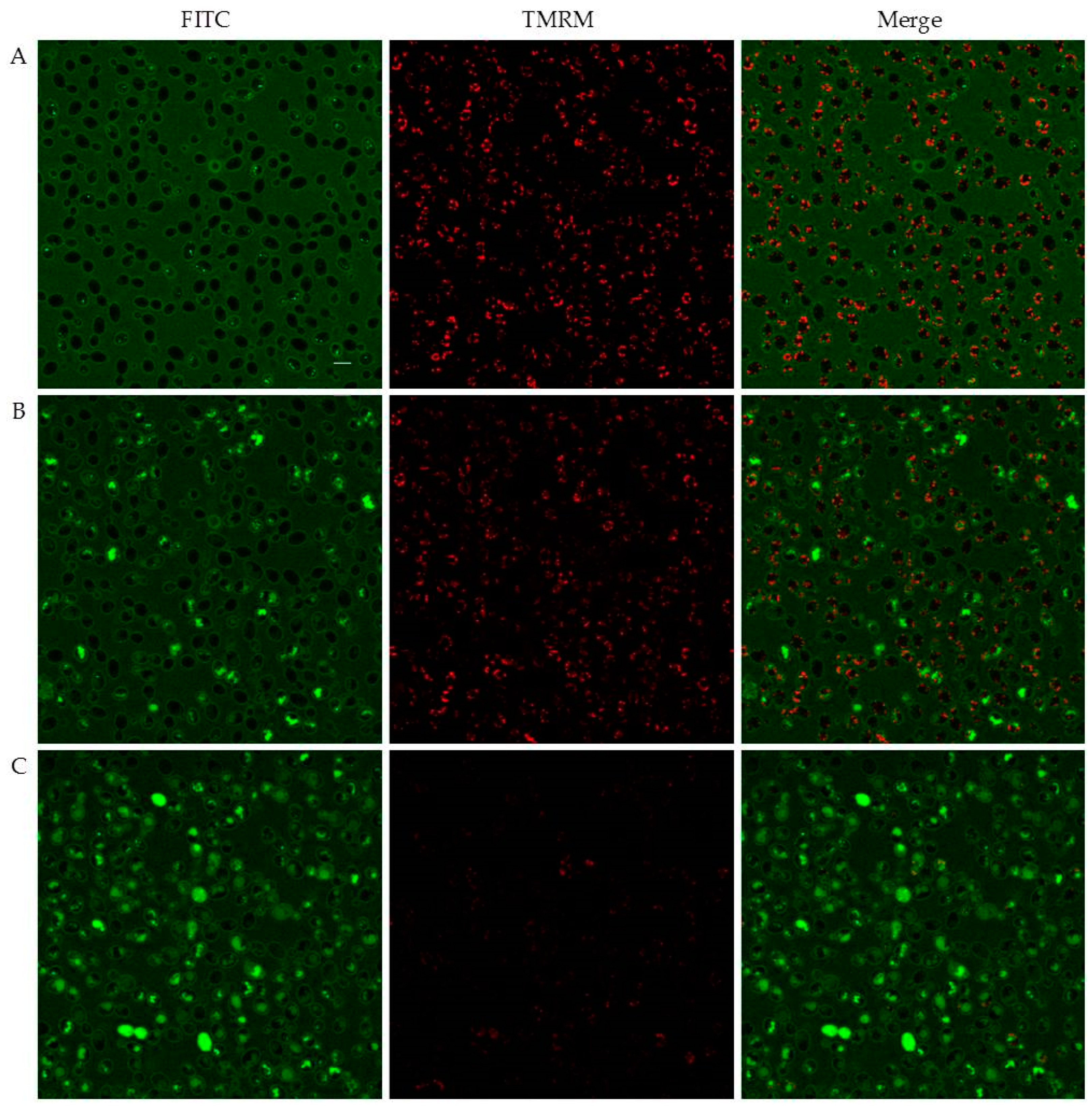 Ijms 19 03792 g007 Ijms 19 03792 g007