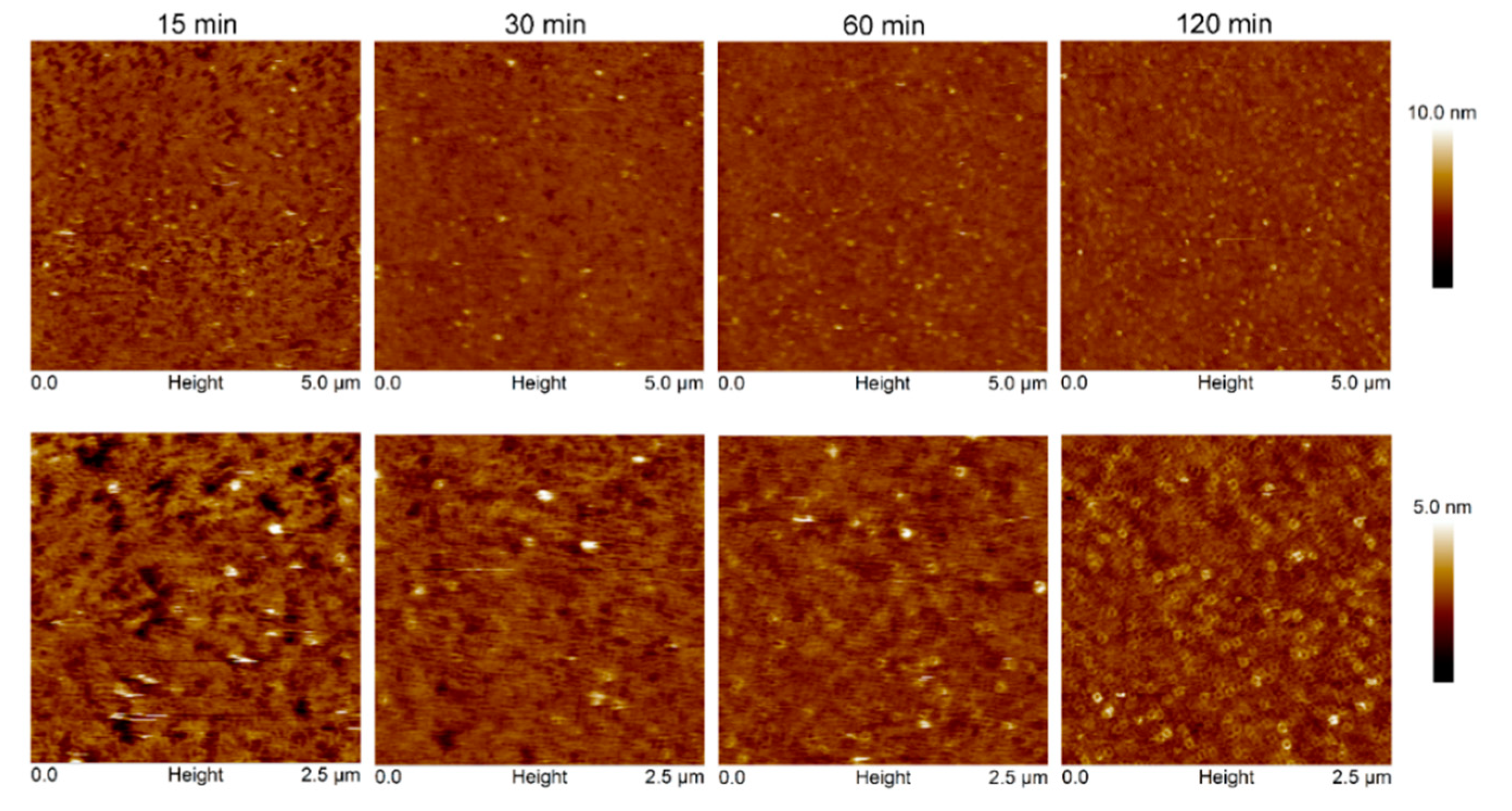 Ijms 19 03819 g007