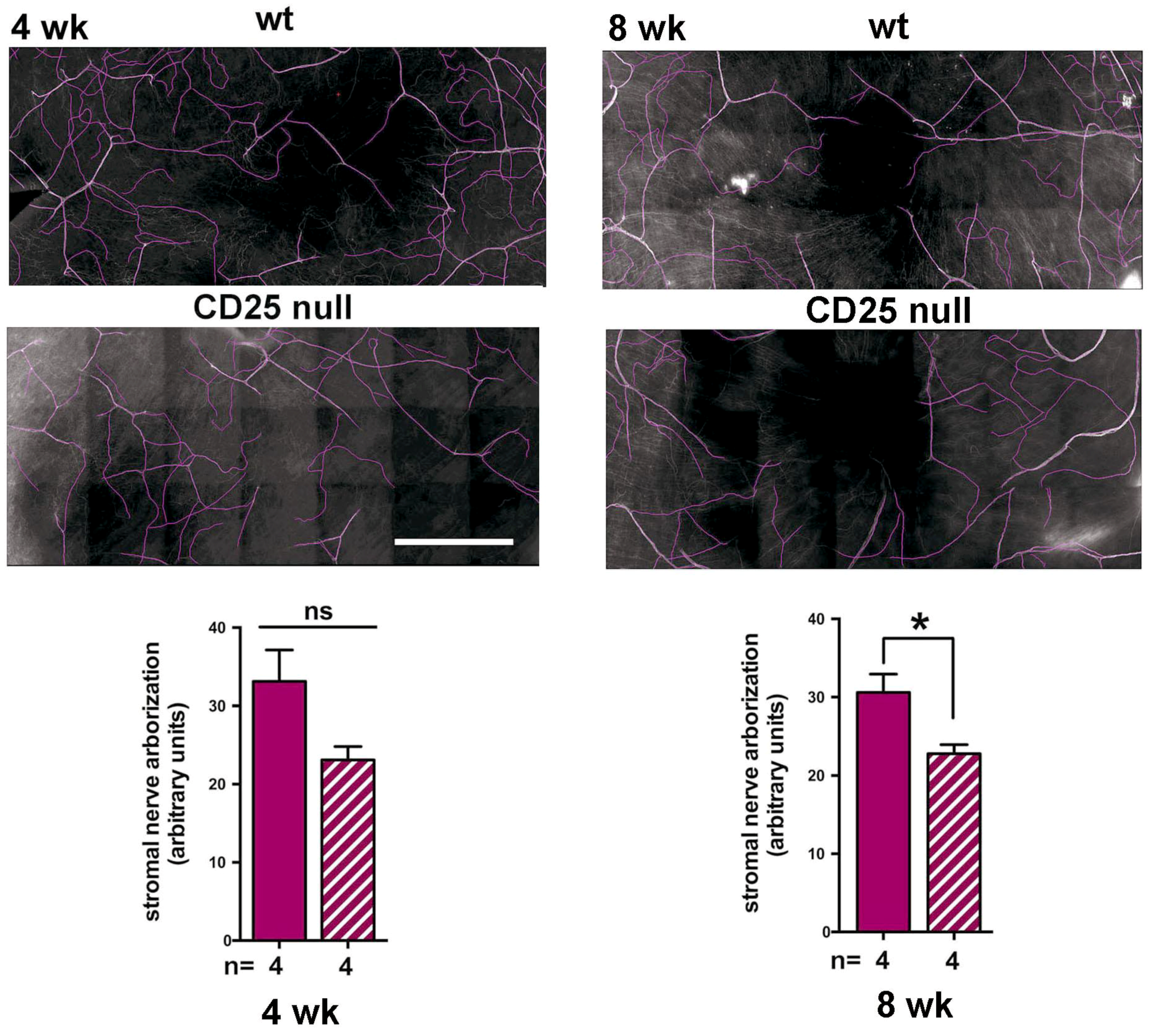 Ijms 19 03821 g004 Ijms 19 03821 g004